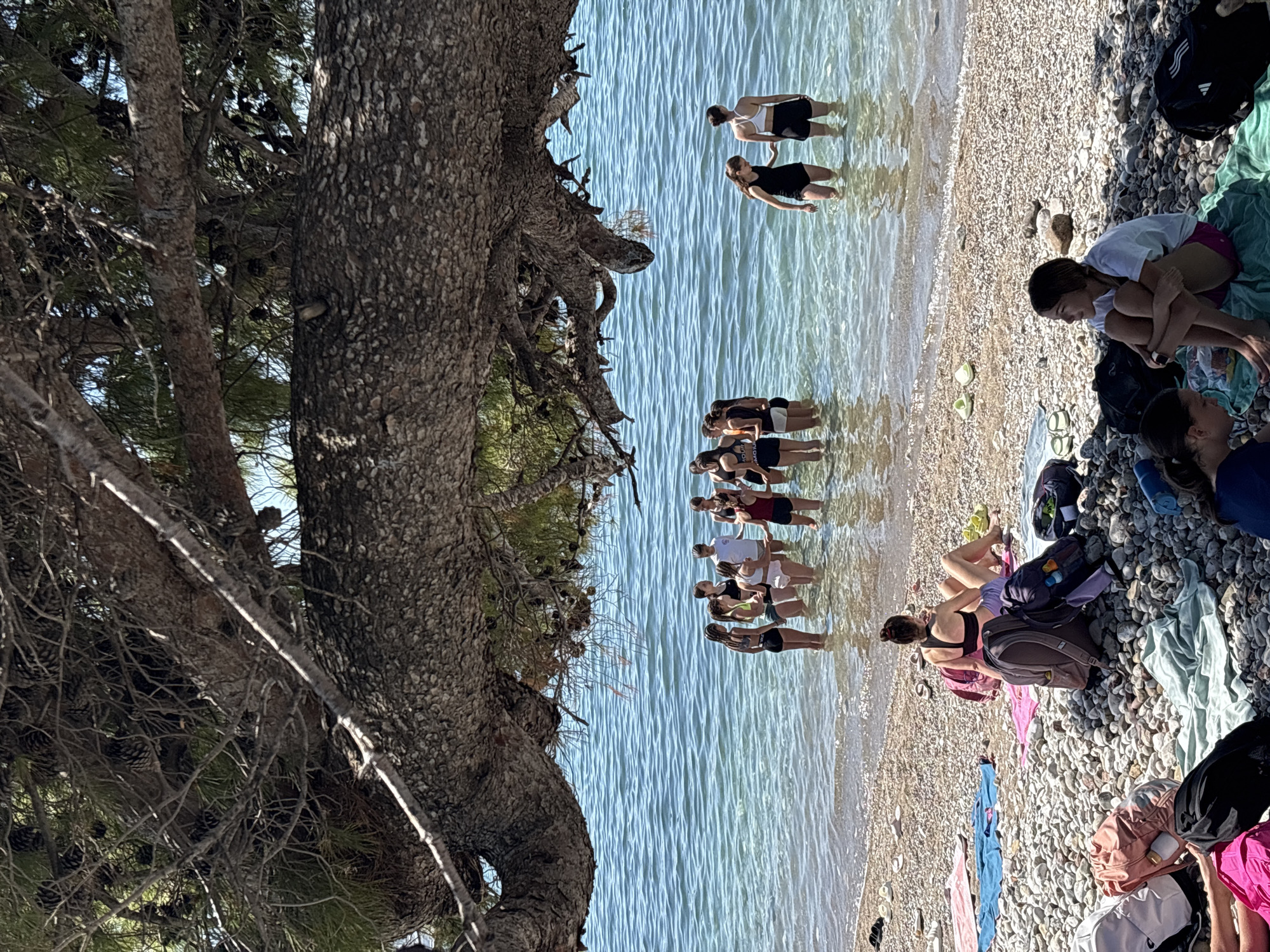 The image captures a vibrant beach scene in Bar, Montenegro, during what appears to be a bright, sunny day. The scene is split between a shaded area dominated by large, gnarled tree trunks and a brightly lit pebbled beach bordering clear, calm water.
In the foreground on the left, the massive trunks and branches of pine trees are prominent, providing significant shade over the water's edge. The water is shallow and shows gentle ripples, reflecting the clear sky.
A group of approximately ten to twelve individuals, mostly appearing as teenagers or young adults, are visible. Several are standing or wading in the shallow water, some grouped together, while others are slightly further out. They are dressed in swimsuits or athletic wear, suggesting they are either swimming or cooling off.
On the pebbled beach to the right, other individuals are relaxing. One person in a white t-shirt and pink shorts is sitting on a blanket, hugging their knees, looking towards the water. Another person in a black sports bra and shorts is partially visible, seemingly resting on the pebbles near a backpack. Various personal items, including backpacks, towels, and shoes, are scattered on the rocky shore. A black backpack with the "adidas" logo is clearly visible among the belongings.
The overall impression is one of leisure and enjoyment by the water, possibly a group outing or a casual beach day, under pleasant weather conditions.