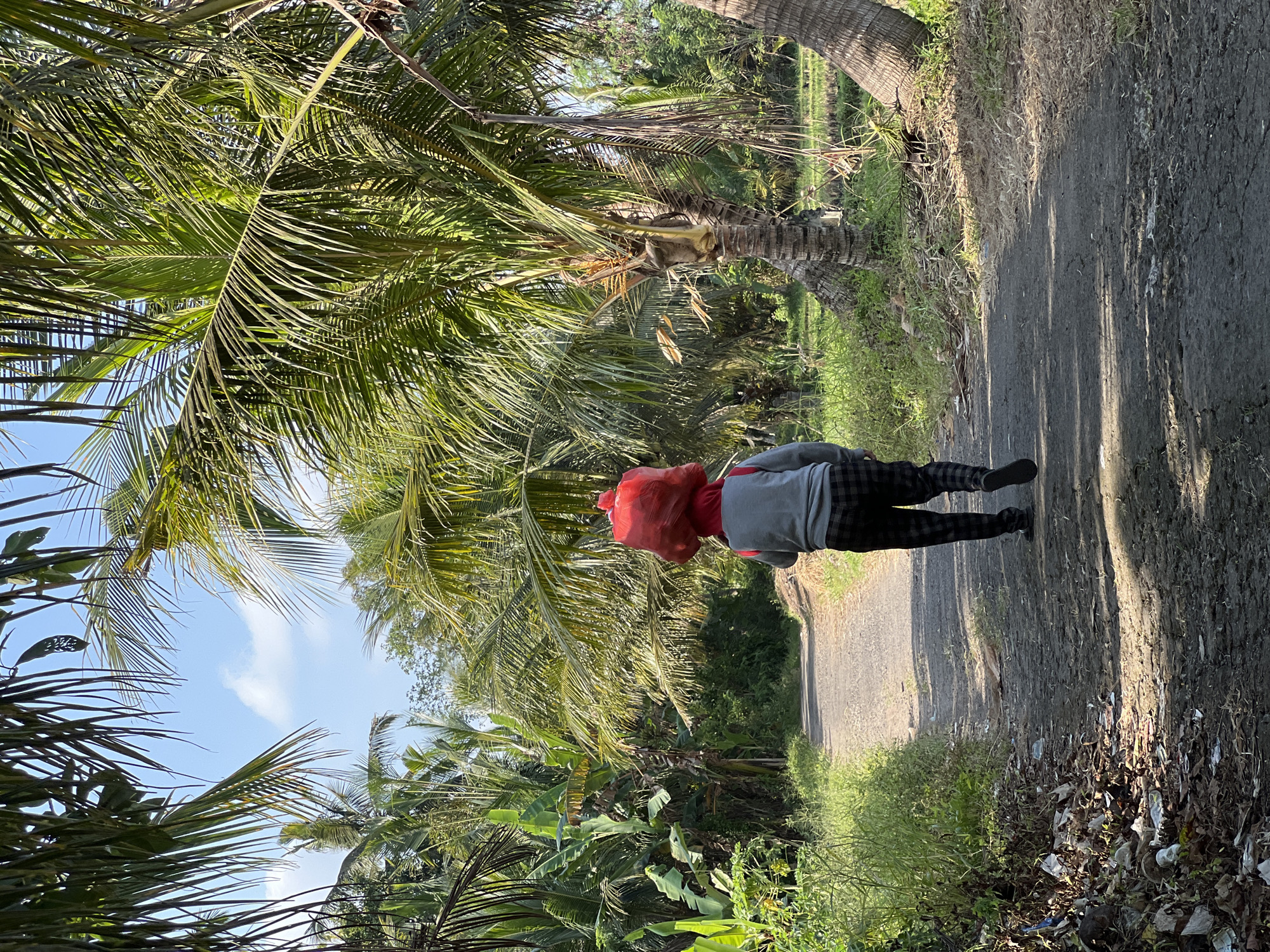 A person walks away from the camera on a dirt path through a tropical environment. The person is wearing a grey long-sleeved shirt and checkered pants, and is carrying a large red bag balanced on their head. The path is lined with lush green vegetation, including palm trees and banana plants. The sky is blue with a few white clouds. The scene appears to be in a rural area, possibly in or near Kerambitan, Indonesia, given the tropical flora. There is some debris scattered along the side of the path on the left. The lighting suggests it is daytime, with sunlight casting shadows on the path.