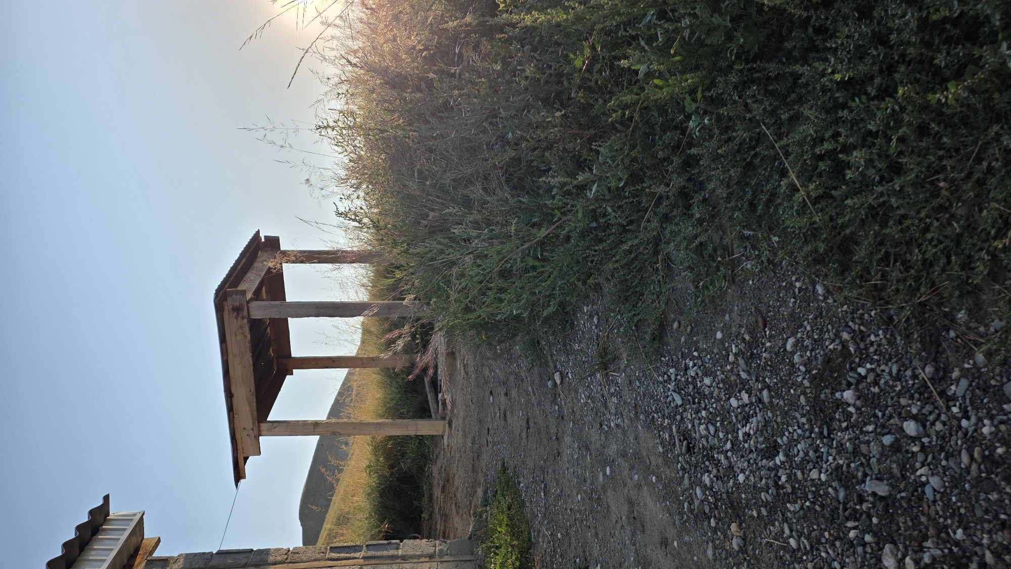 The image depicts a dirt path leading towards a rustic wooden shelter with a corrugated metal roof, located outdoors in a rural setting. The shelter is supported by four wooden posts. To the left of the path, a portion of a stone building with a corrugated roof is visible. The ground is covered with gravel and dirt. Lush green vegetation, including tall grass and bushes, borders the right side of the path. In the background, rolling hills are visible under a clear, pale blue sky. The sun is setting, casting a warm glow and lens flare on the right side of the image. The scene appears to be in Terek-Suu, Kyrgyzstan, given the landscape and architecture typical of rural areas in the region. No people are present in the image.