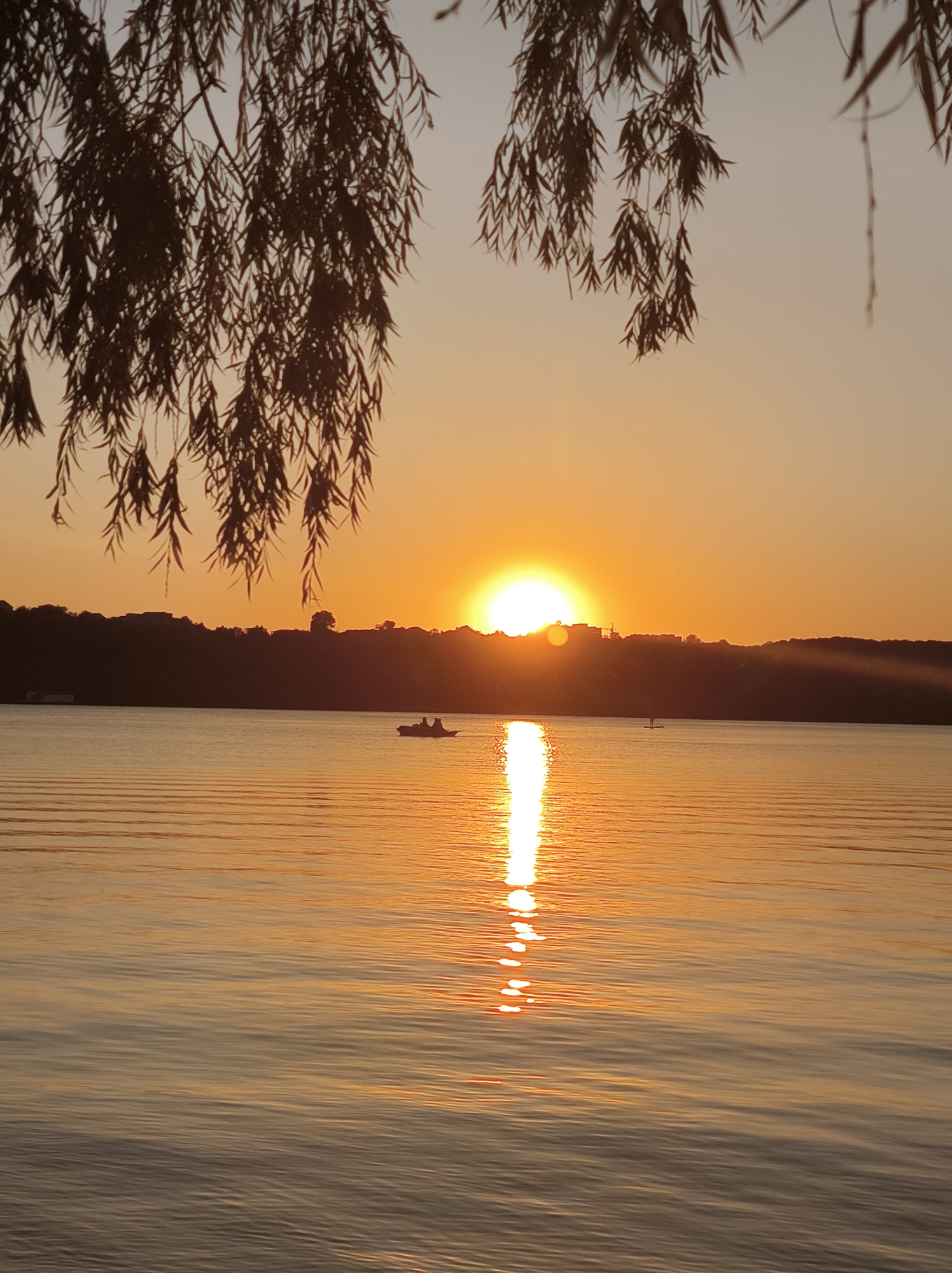 An outdoor, vertical, full shot captures a serene sunset over a body of water, likely Ternopil Lake in Ternopil, Ukraine. The sun, a bright orange orb, is partially obscured by a silhouetted tree line on the horizon. The sky transitions from a pale yellow near the sun to a lighter peach hue further up. Cascading willow branches, silhouetted in dark brown, frame the top of the image. The water's surface is a rippling, golden-orange, reflecting the intense colors of the sunset, with a prominent streak of light emanating from the sun. In the middle ground, a small, dark boat with at least two occupants is visible, appearing to be enjoying the view. Further in the distance, a single individual is seen on a paddleboard, also silhouetted against the bright sky. The distant shore is a dark, indistinct mass of rolling hills and scattered structures. The overall impression is one of tranquility and natural beauty.