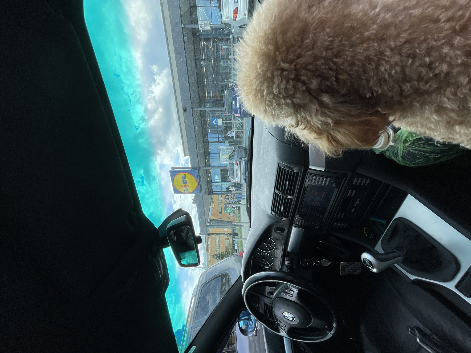 The image shows the interior of a car parked in front of a Lidl store. The location is likely Varna, Bulgaria, given the Lidl signage. The dashboard is visible, along with the steering wheel. A large, fluffy dog is partially in the frame on the right. Other cars and people can be seen through the windshield in the background, near the entrance of the Lidl. The rearview mirror is visible.