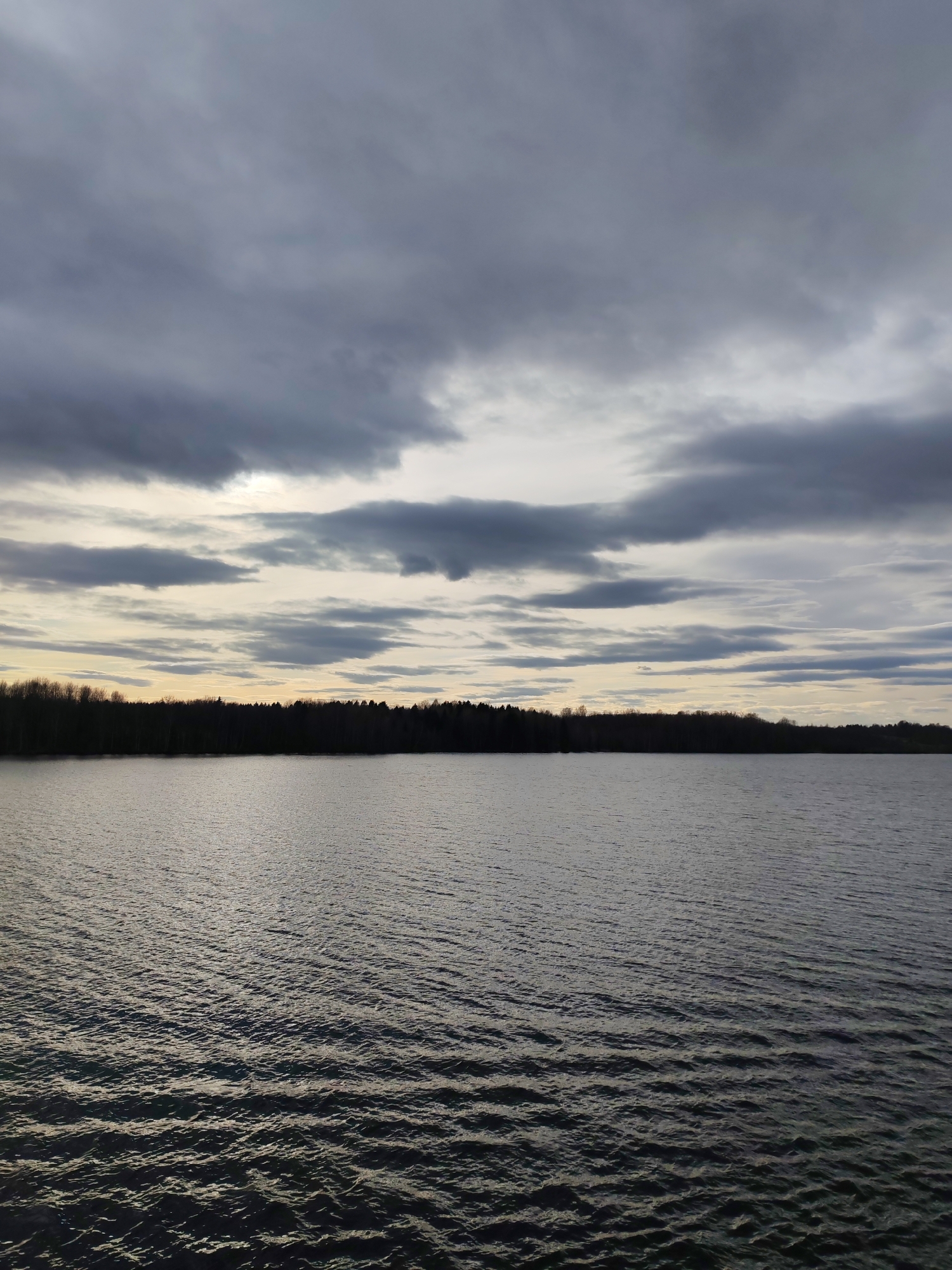 The image depicts a body of water, possibly a lake or a wide river, under a cloudy sky. The water is rippled, indicating a slight breeze. A dark treeline is visible in the distance, separating the water from the sky. The sky is filled with grey and white clouds. The location is possibly in the city of Yakunina Gora, Russia. There are no people visible.
