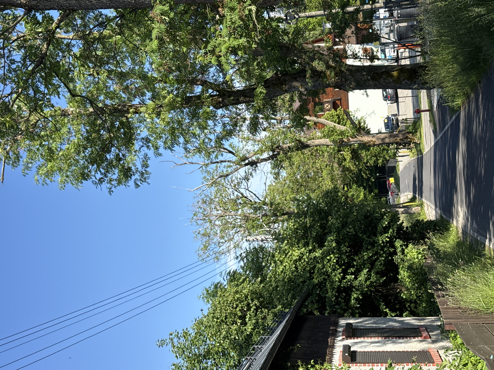 The image depicts a tree-lined street in Szklarska Poręba, Poland, under a clear blue sky. A paved road or pathway runs through the center of the frame, flanked by lush green trees on both sides. On the left side of the road, a building with a dark wooden exterior and white-painted walls with red brick accents is visible, featuring windows with dark shutters. A wooden fence runs along the edge of the property. On the right side of the road, more trees and buildings with wooden elements are present. Several cars are parked along the right side of the road in the distance, and a red fire hydrant is visible near the roadside. The overall scene suggests a tranquil, possibly residential or tourist area.