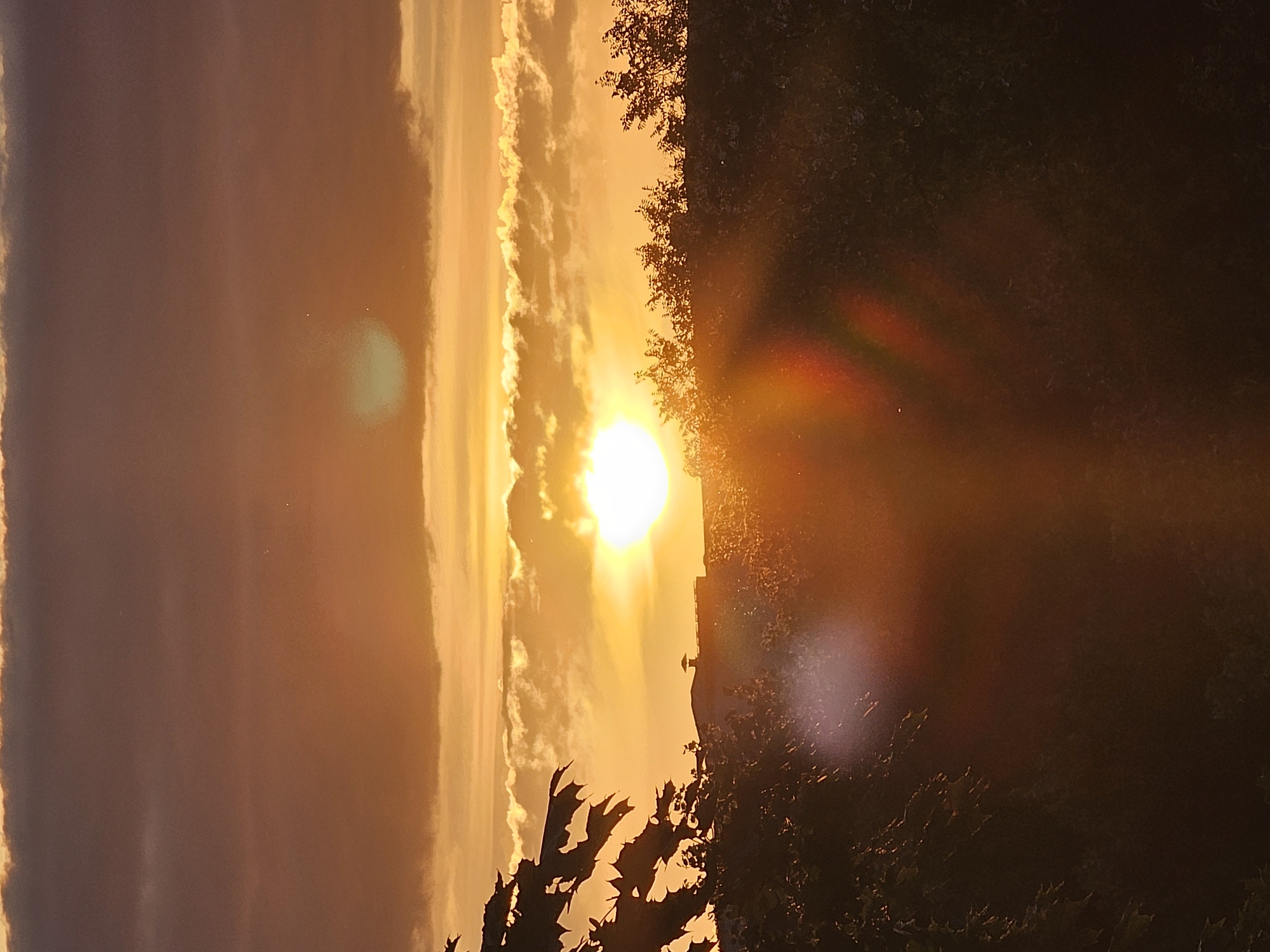 A vertical, slightly angled, medium shot captures a sunset over a silhouette of trees, bushes, and a building in Khimki, Russia. The sun, a bright white orb, is partially obscured by the horizon and framed by golden-orange clouds. The sky transitions from a deep orange at the top, where dark, heavy clouds dominate, to a bright yellow and orange near the sun, with lighter, wispy clouds. In the foreground, dark silhouettes of trees and foliage fill the lower half of the frame, with a building featuring a small peaked roof visible just above the treeline, to the left of center. Lens flare, appearing as bright, hazy circles and streaks of red and orange, is present in the lower portion of the image, indicating the direction of the sun. The overall impression is of a dramatic and vibrant sunset.