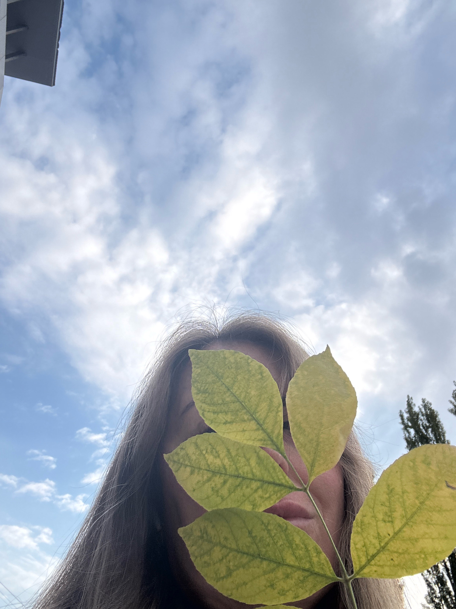 An outdoor, low-angle, medium shot shows a person's face partially obscured by a cluster of yellow-green leaves against a cloudy sky and the corner of a building. The person's face is angled upwards, with only their mouth, nose, and part of their forehead visible. Their light brown hair is long and falls across their shoulders. The leaves, on a thin stem, are arranged to cover the upper portion of the person's face. The sky is filled with light and dark clouds, with patches of blue visible. To the right of the frame, the tops of several tall, dark green trees are visible. A grey building corner is in the upper left of the frame.