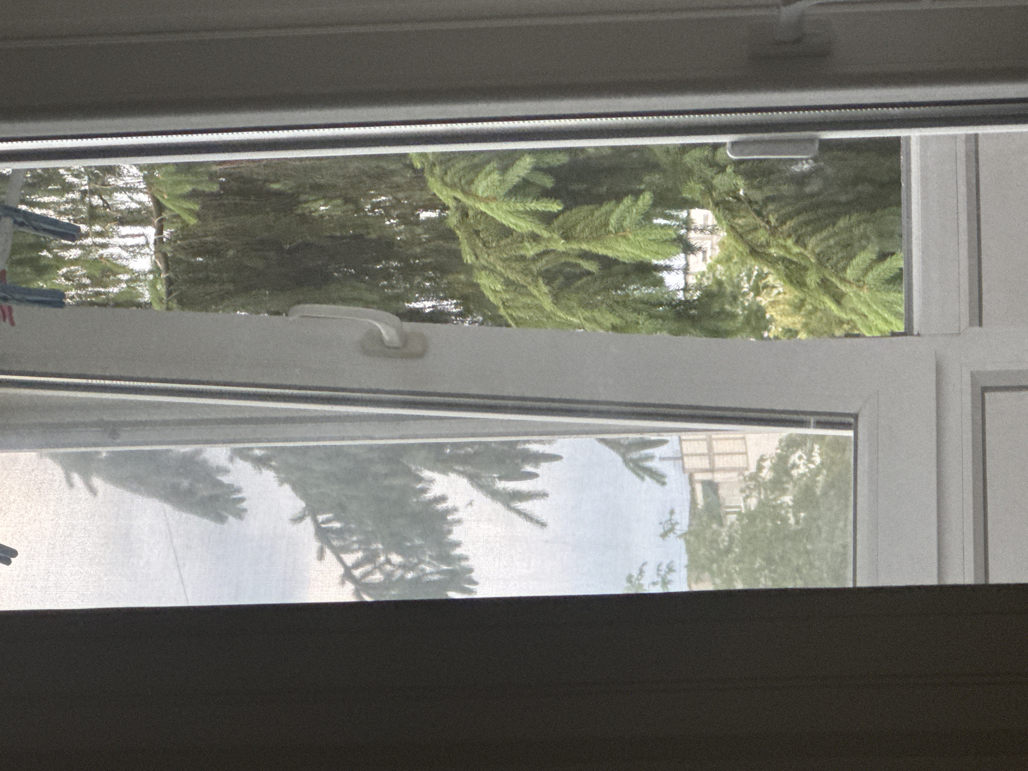 A slightly open white window reveals a view of lush green pine trees outside, with their branches extending into the frame. The window is framed by a dark curtain on the left and the window frame itself on the right. In the background, through the trees, partially visible buildings suggest an urban setting. A white plastic handle is attached to the window's frame. The sky is overcast and light.