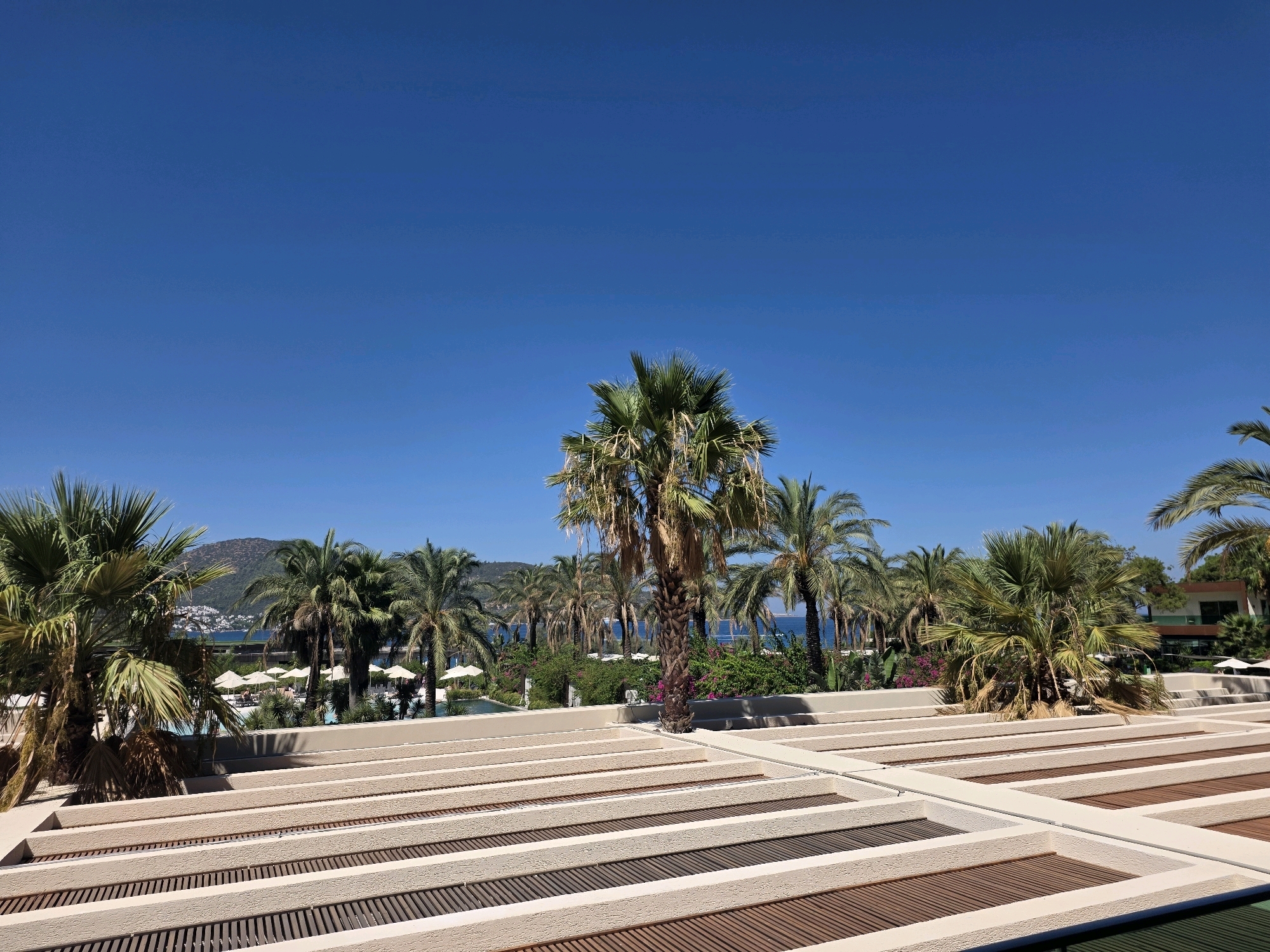 The image shows an outdoor scene with a clear blue sky and a body of water in the background, likely a sea or large lake. In the mid-ground, there is a resort or hotel area with numerous palm trees. Several umbrellas and lounge chairs are visible around a pool. The foreground consists of a modern architectural structure with tiered seating or a viewing platform made of concrete and wood. The location is described as the city of Unknown, Unknown, suggesting a place with no specific identifying landmarks or known geographic coordinates. The scene appears to be a sunny day, possibly during the daytime. No people are clearly discernible in the image.
