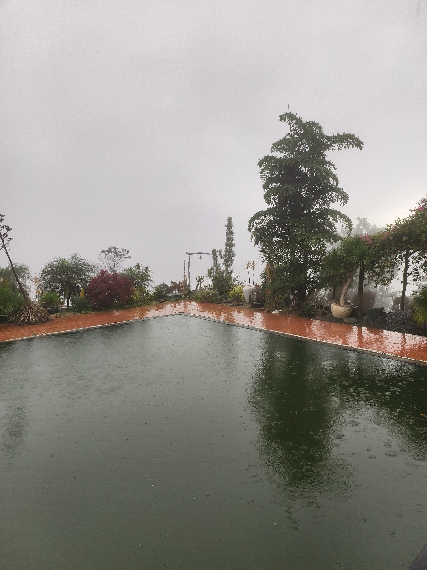 The image depicts a body of water, likely a pool, under heavy rain in an outdoor setting. The water surface is covered with rain drops creating ripples. Surrounding the pool is a walkway made of orange-red tiles, bordered by vegetation, including trees and shrubs. The background is obscured by fog, giving a sense of isolation. The overall atmosphere is gray and wet, indicative of a rainy day.