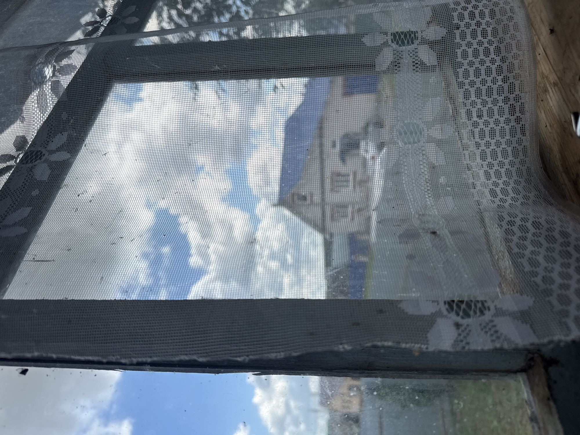 The image provides a view from inside a building, looking out through a window covered by a mesh screen and a lace curtain. The window frame appears old and worn. Outside, the sky is blue with white clouds. A light-colored house with a blue roof is visible in the middle ground, with a car parked in front of it. A fence can be seen to the left of the house. The overall setting suggests a rural or suburban environment, potentially in Большая Уча, Russia, given the architectural style of the house. The mesh screen is dirty, with visible particles and dust. The lace curtain has a floral pattern. The wooden interior of the window sill or floor is visible in the foreground.