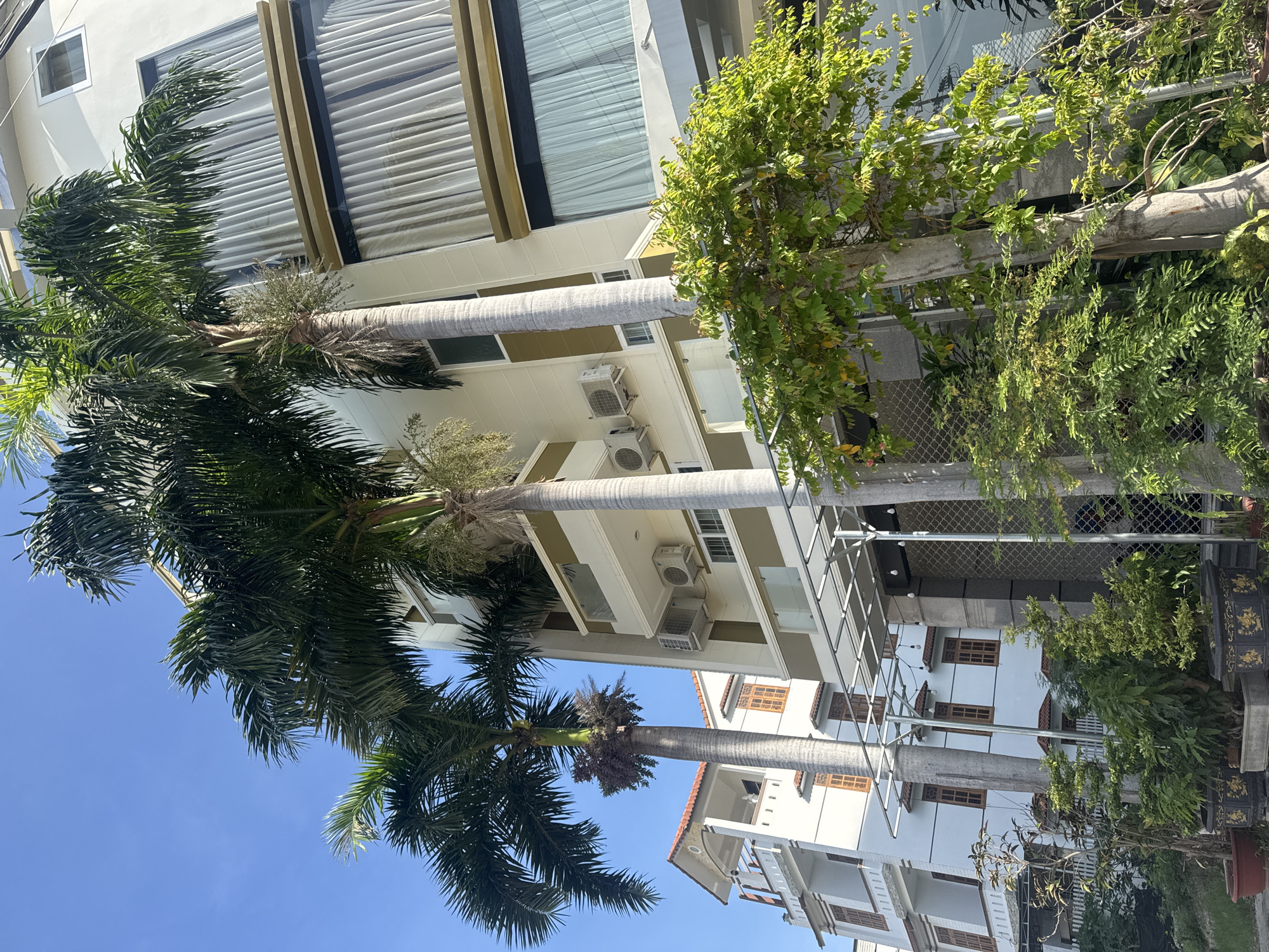 In Bac Nha Trang Ward, Vietnam, this image captures a sunlit exterior scene featuring palm trees and a multi-story building. The building, with a light-colored facade and cream-colored accents, has multiple levels with large windows covered by white curtains, and several outdoor air conditioning units are visible on the exterior walls. Adjacent to this building is another white structure with multiple balconies and brown-framed windows, featuring a red-tiled roof. In the foreground, lush green foliage and trees in pots are present, with some plants growing near a covered walkway supported by a metal frame. The sky is clear and blue.
