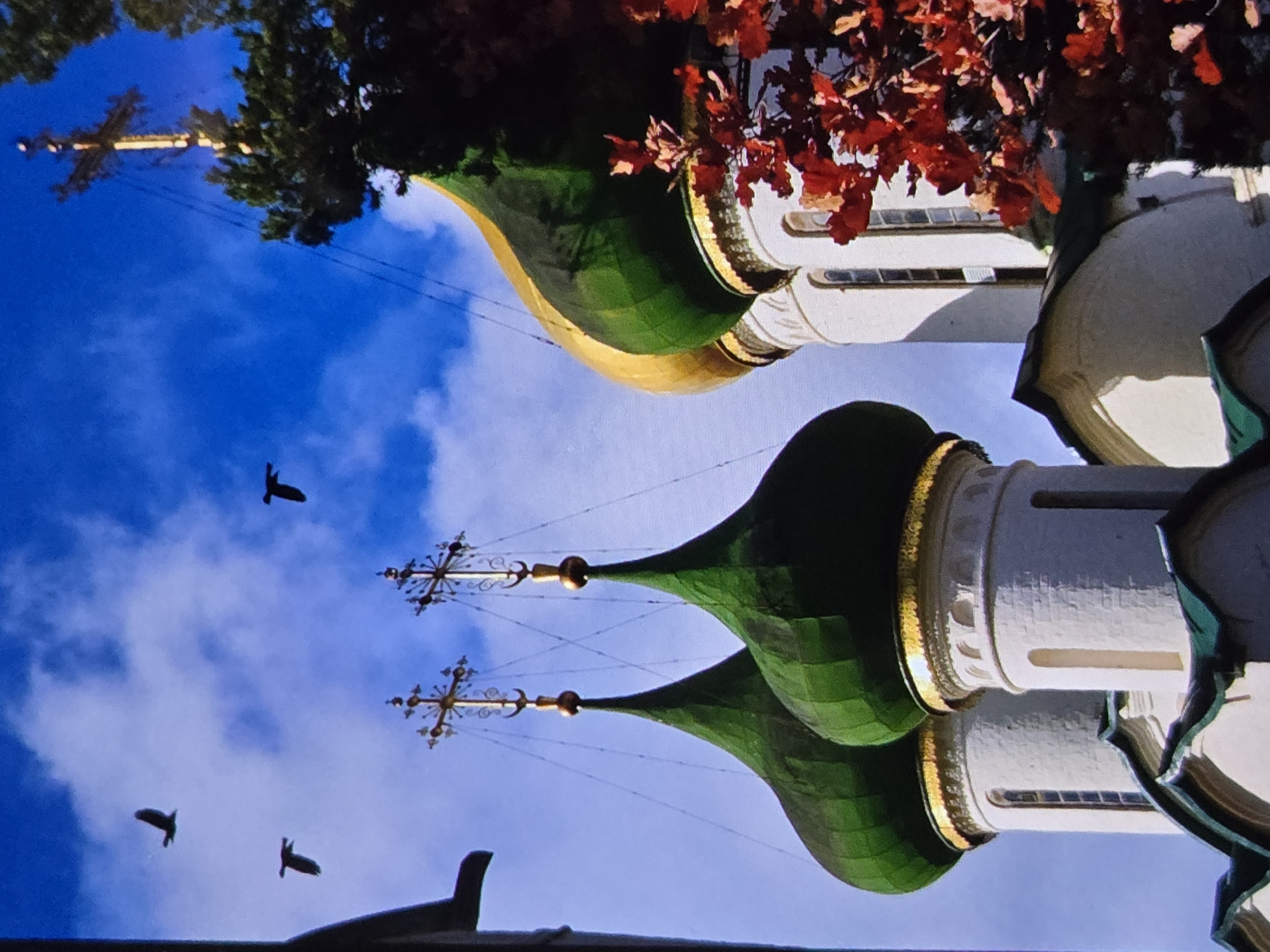 The image depicts the domes of a Russian Orthodox church, likely in the city of Vladimir, Russia, characterized by their green onion shapes topped with golden crosses. Four dark birds are captured in flight against a bright blue sky with scattered clouds. In the foreground, a tree with vibrant red leaves adds a splash of autumn color to the scene. The architecture of the church features white brickwork and ornate gold trim. The overall atmosphere is serene and picturesque.