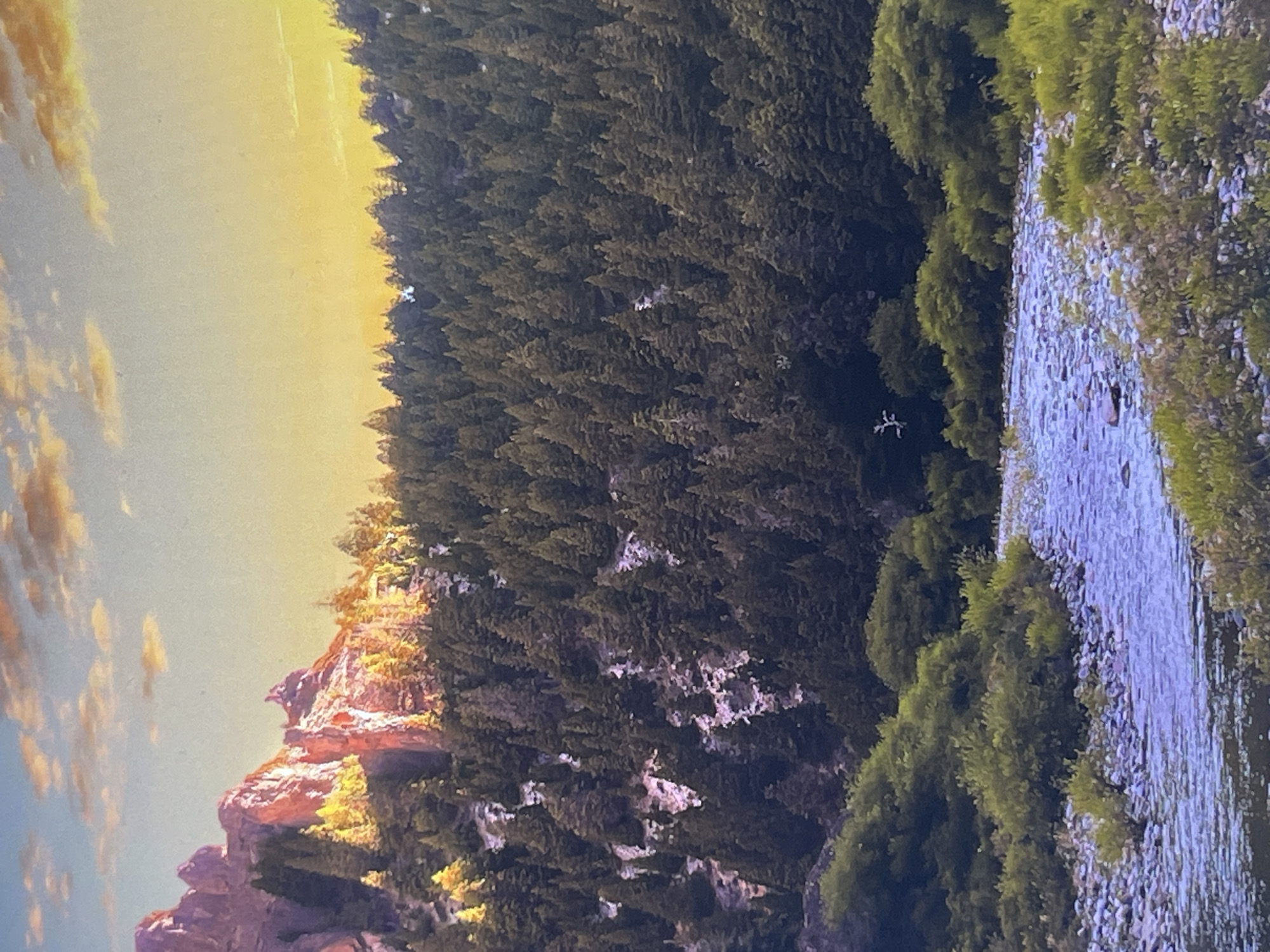 This image depicts a scenic mountain landscape with a river flowing through the foreground. The mountains are covered in a dense forest of evergreen trees, with patches of lighter-colored rock visible on their slopes. The peaks of the mountains are bathed in the warm, golden light of the setting sun, casting a reddish glow on the rocky outcrops. The sky above is a soft gradient of blue and yellow, with scattered, wispy clouds tinged with orange. The river in the foreground is shallow and rocky, with clear, flowing water. The banks of the river are lined with lush green vegetation and smaller trees. The overall impression is one of natural beauty and tranquility. There are no people or man-made structures visible in the image, suggesting a remote and untouched natural environment. The specific location in Kafr Yasif, Israel is not determinable from the image alone.