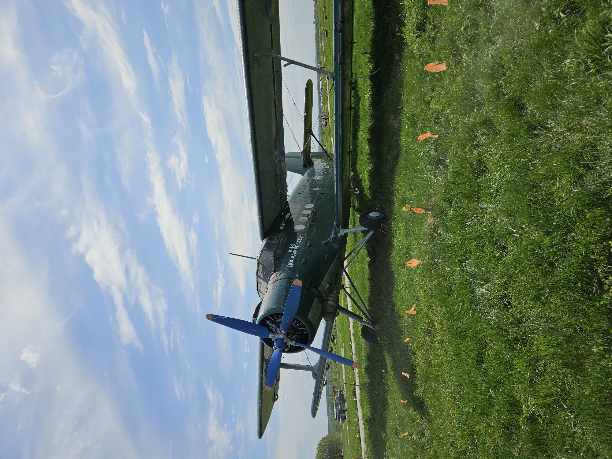 The image shows a green biplane parked on a grassy field under a blue sky with white clouds. The biplane has a blue propeller and writing on the side in Cyrillic. Orange flags are scattered on the ground around the plane. In the background, there are some trees and vehicles, suggesting the edge of a city or town. The writing on the side of the plane identifies it as an "AH-2 ДОСААФ РОССИИ" aircraft. The scene appears to be an airshow or aviation event held on a grassy airfield. The location is Izhevsk, Russia.