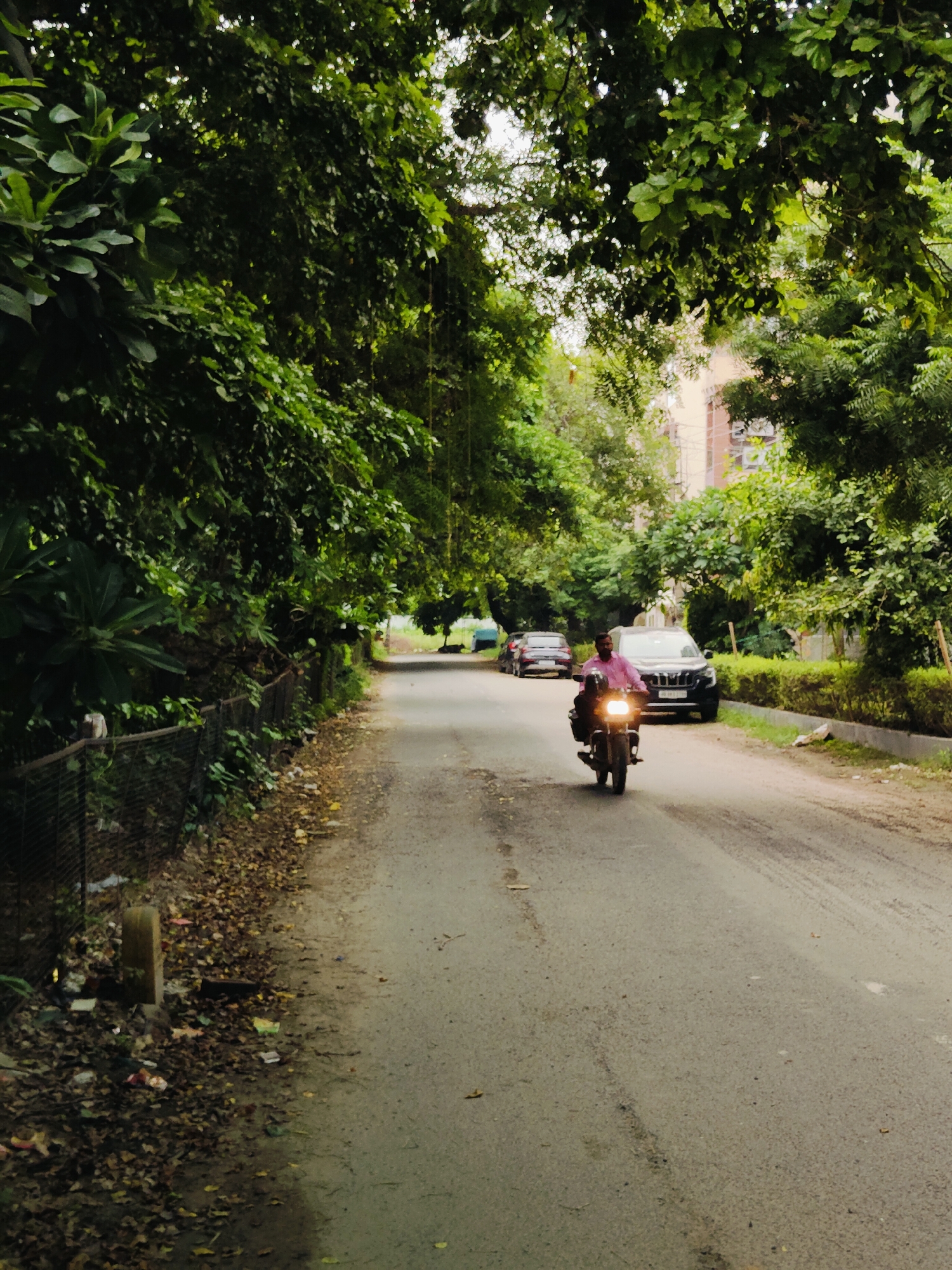 The image depicts a street scene in Gurgaon, India. The road is paved and lined with trees and greenery on both sides. On the left side of the road, there is a wire fence with foliage growing over it, and a pile of fallen leaves and scattered trash along the ground. Further down the road on the left, two parked cars are visible. On the right side of the road, there is a neatly trimmed hedge, and beyond that, a building with multiple floors is visible.
In the foreground, a man is riding a motorcycle, heading towards the viewer. He is wearing a pink shirt and is seated on the motorcycle. The motorcycle's headlight is illuminated. The overall impression is that of a residential street with a moderate amount of vegetation. The lighting suggests it may be overcast or late afternoon.
