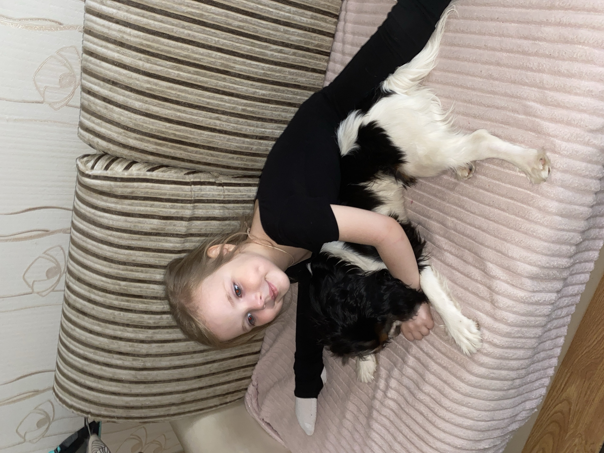 A young girl and a small, black and white dog are captured in an indoor setting, likely a home in Votkinsk, Russia. The image is taken from above, with the subjects oriented diagonally. The girl, with light hair and a cheerful expression, is lying on her side on a soft, light pink textured blanket or throw. She is wearing a black long-sleeved top and black leggings, with one foot visible in a white sock. Her arms are gently wrapped around the dog, which lies close to her, also on the pink blanket. The dog appears to be a Cavalier King Charles Spaniel or a similar breed, with distinctive black and white fur.
Behind the girl and dog, a large sofa or couch with striped brown and beige cushions is visible. The background also features light-colored wallpaper with a subtle, stylized floral pattern. On the far right, a small portion of a wooden surface, possibly furniture or flooring, can be seen. The lighting suggests an indoor environment, but the exact time of day is not discernible. The girl is smiling and looking directly at the camera, conveying a sense of happiness and affection for her canine companion. There is no visible text in the image.