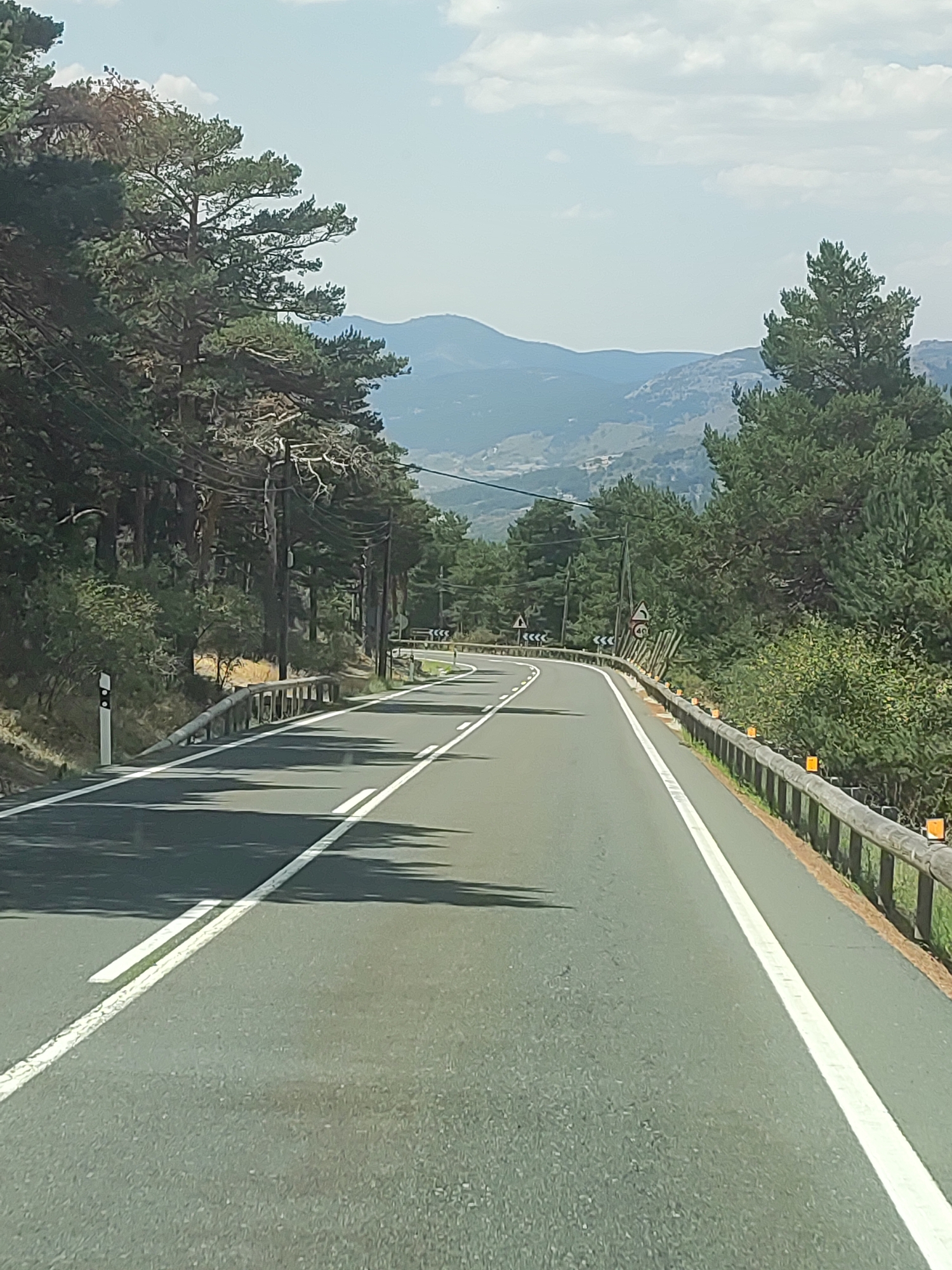 A paved road with a double white line marking curves through a forest of tall pine trees. On the left side of the road, a wooden guardrail runs along the edge, with a reflective post marking the shoulder. On the right side, a similar wooden guardrail is present, with additional warning signs visible, including a speed limit sign indicating 40 km/h and a sign with zigzag arrows. In the background, rolling hills and mountains are visible under a partly cloudy sky. The scene appears to be in a natural, undeveloped area, consistent with the rural setting of Los Baldíos, Spain. There are no people or animals visible in the image. The overall impression is one of a scenic drive through a mountainous, forested region.