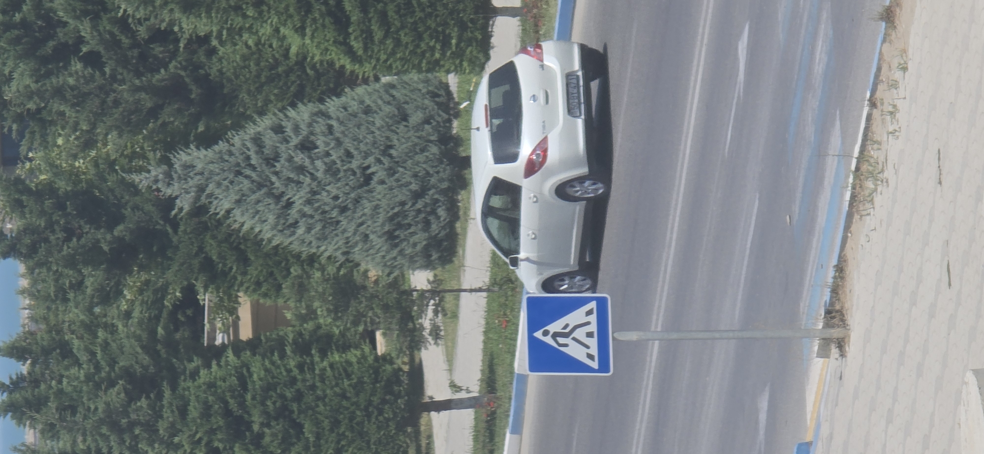 A white Nissan Tiida hatchback is parked on the right side of a road in Sumgayit, Azerbaijan, beside a pedestrian crossing sign. The car is facing away from the camera, and its license plate reads "50 BY 471". The pedestrian crossing sign is blue and white, depicting a person walking across a crosswalk. The scene is set against a backdrop of lush green trees, with a hint of the sea visible in the distance. The road is asphalt, with white lane markings. The sidewalk is paved with light-colored tiles. The overall impression is one of a typical urban environment on a sunny day.