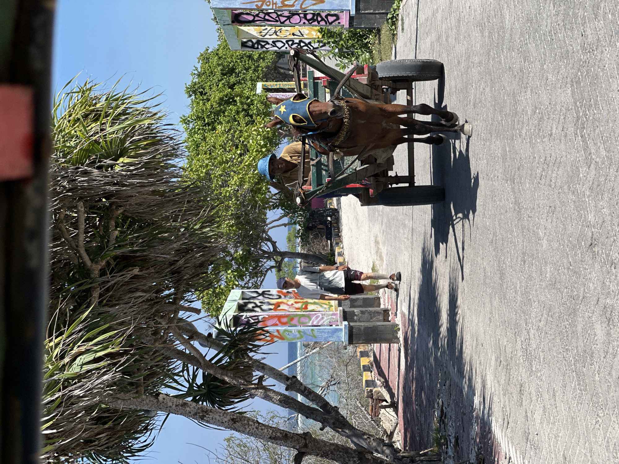 This image captures a scene in an unknown city in Indonesia. A horse, adorned with a blue and yellow head covering featuring a star emblem, pulls a cart along a concrete road. A man wearing a blue hat sits on the cart, driving the horse. In the background, a person stands beside a painted, multi-colored structure, likely an art installation. A tree with long, spiky leaves is positioned to the left, partially obscuring the view. Further in the background, a glimpse of the ocean is visible. The atmosphere suggests a sunny day.