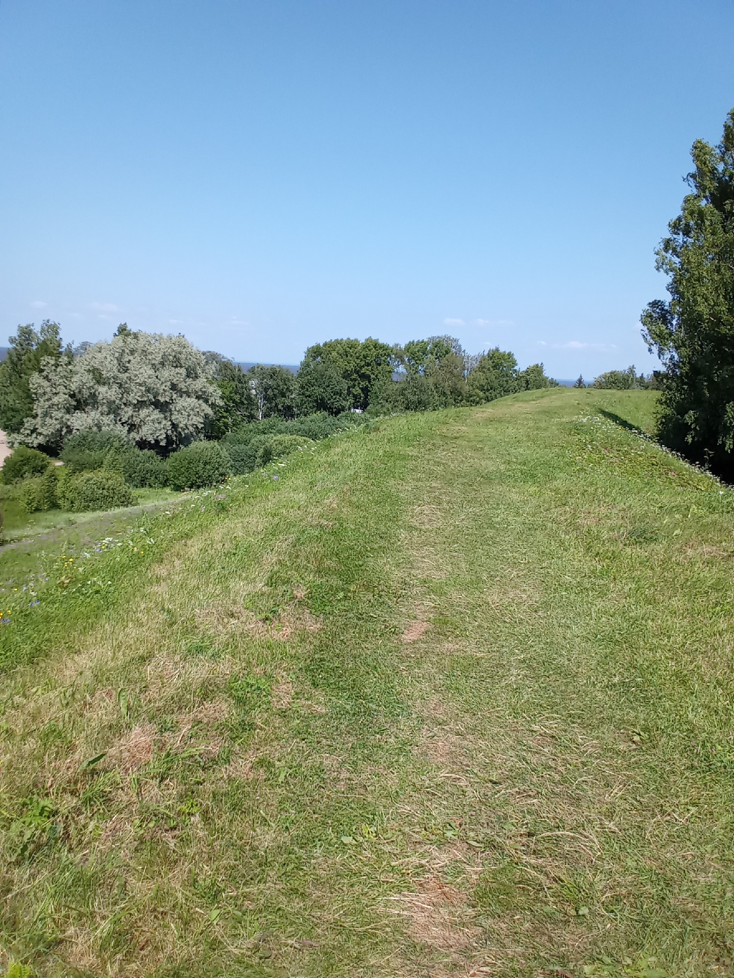 A wide, grassy hill slopes upwards in the foreground, leading towards a line of trees in the background. The sky is clear and blue. In the distance, faint hints of water and land suggest a large body of water. The overall scene is a natural landscape, likely a park or open area in Belozersk, Russia.