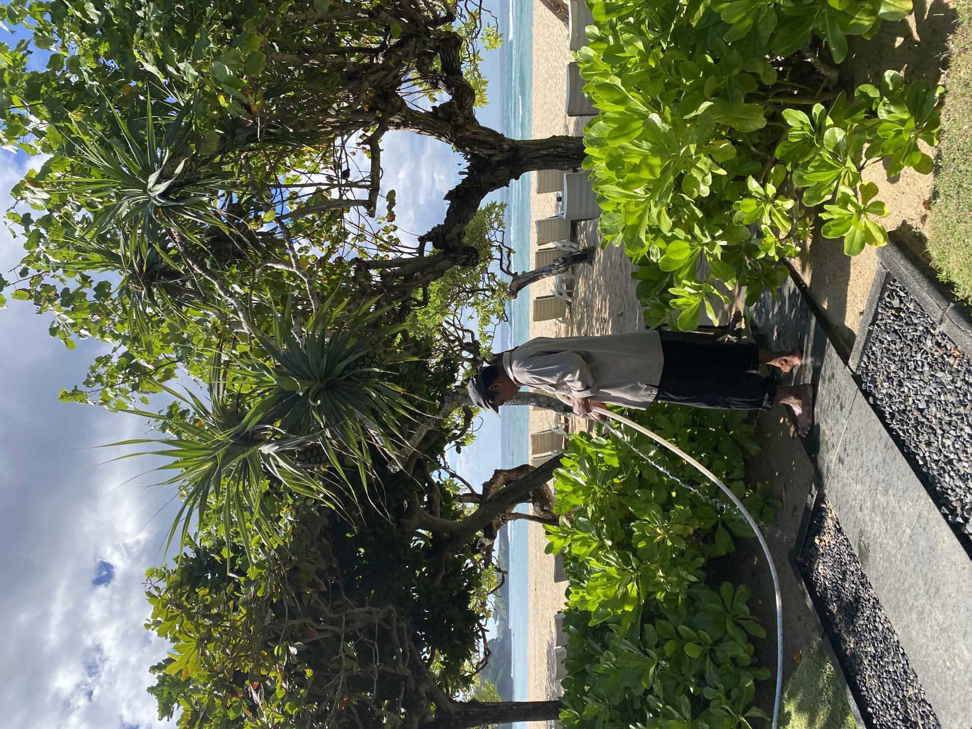 A landscape-oriented photograph depicts a man using a water hose to rinse his feet. The location is in the city of Kuta Selatan, Indonesia with a sandy beach as seen through the trees. The man, wearing dark pants, a light-colored shirt, and a hat, stands on a dark gray, paved surface adjacent to a garden area filled with dense green foliage. The water hose is white and is currently emitting a stream of water. The beach with lounge chairs in the distance. The sky is partly cloudy. The image is slightly rotated clockwise.