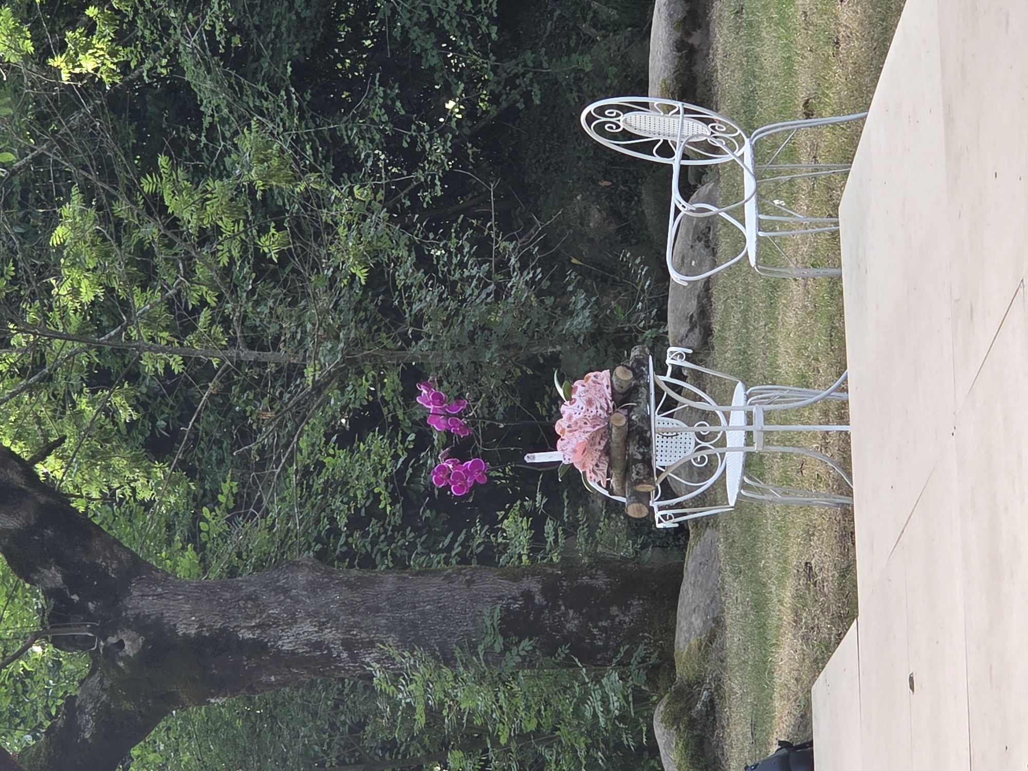 The image depicts a serene outdoor scene with two white wrought-iron chairs and a small table adorned with a floral arrangement. The table holds a bouquet of pink and white flowers, possibly orchids, and a decorative piece of wood. Behind the furniture, a large, moss-covered tree stands tall, its branches reaching into a dense forest backdrop. The ground is covered in green grass and scattered rocks, hinting at a natural, possibly mountainous environment. The scene appears to be set in the city of Baztan, Spain, an area known for its lush landscapes and traditional charm. There are no people visible in the image, and no discernible actions or interactions are taking place. The lighting suggests it is daytime, with soft, natural light filtering through the trees. The overall impression is one of tranquility and natural beauty, a quiet spot for contemplation amidst the wilderness.