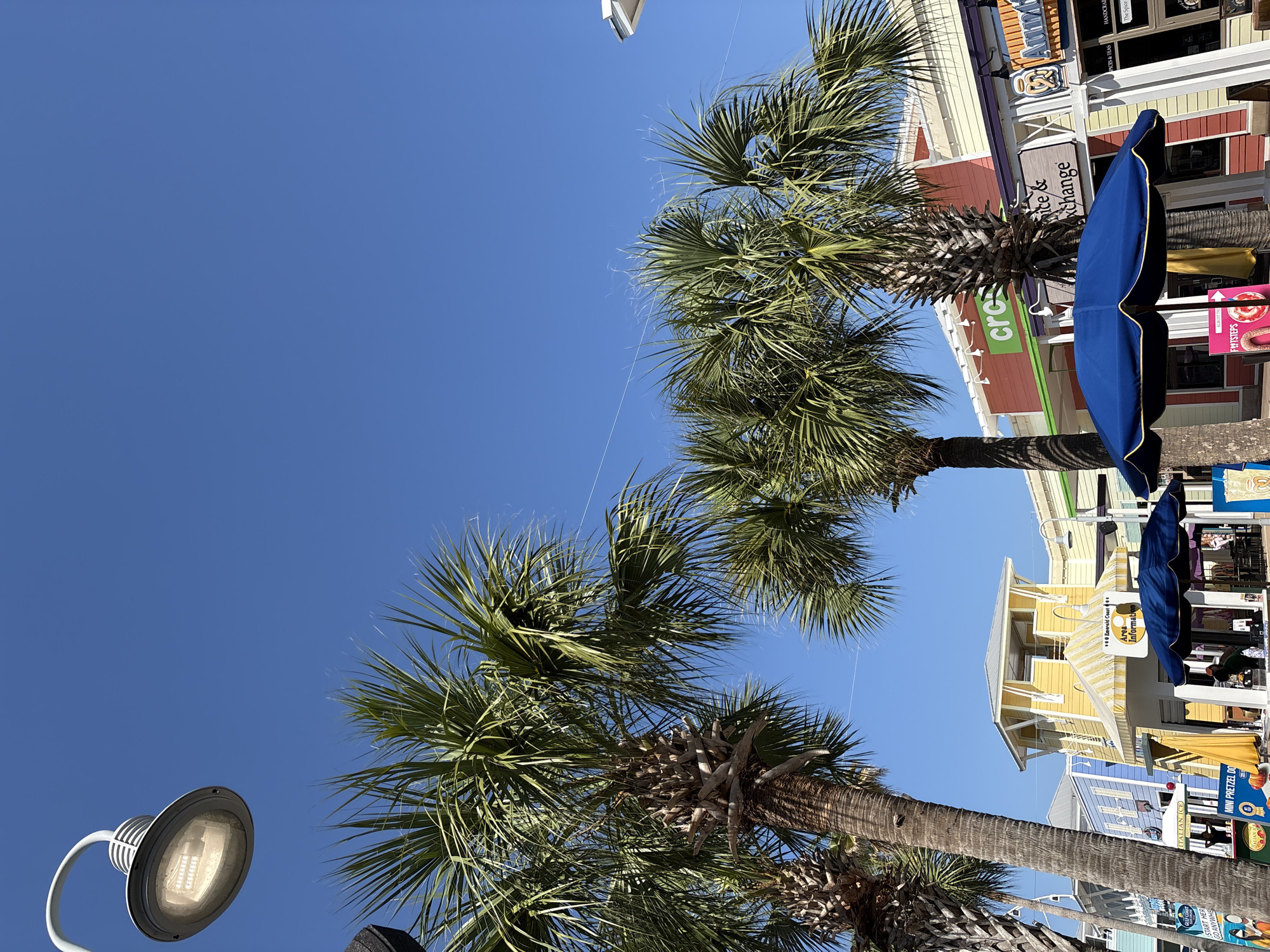 Here is a detailed description of the image:
The photo, taken from a low angle, showcases the interplay of palm trees and urban elements in Panama City Beach, USA.
In the foreground, two prominent palm trees stretch upwards, their fronds swaying against a clear, bright blue sky.
Buildings in various colors and designs are situated to the right of the trees. There is a sign that reads "ice & exchange". Further down the street, there is yellow building with a sign "Emerald Coast Area Information". Blue and yellow beach umbrellas are also visible, suggesting an outdoor commercial area or boardwalk.
At the bottom left corner of the frame, a street light illuminates the scene, contrasting the natural elements with the man-made infrastructure.