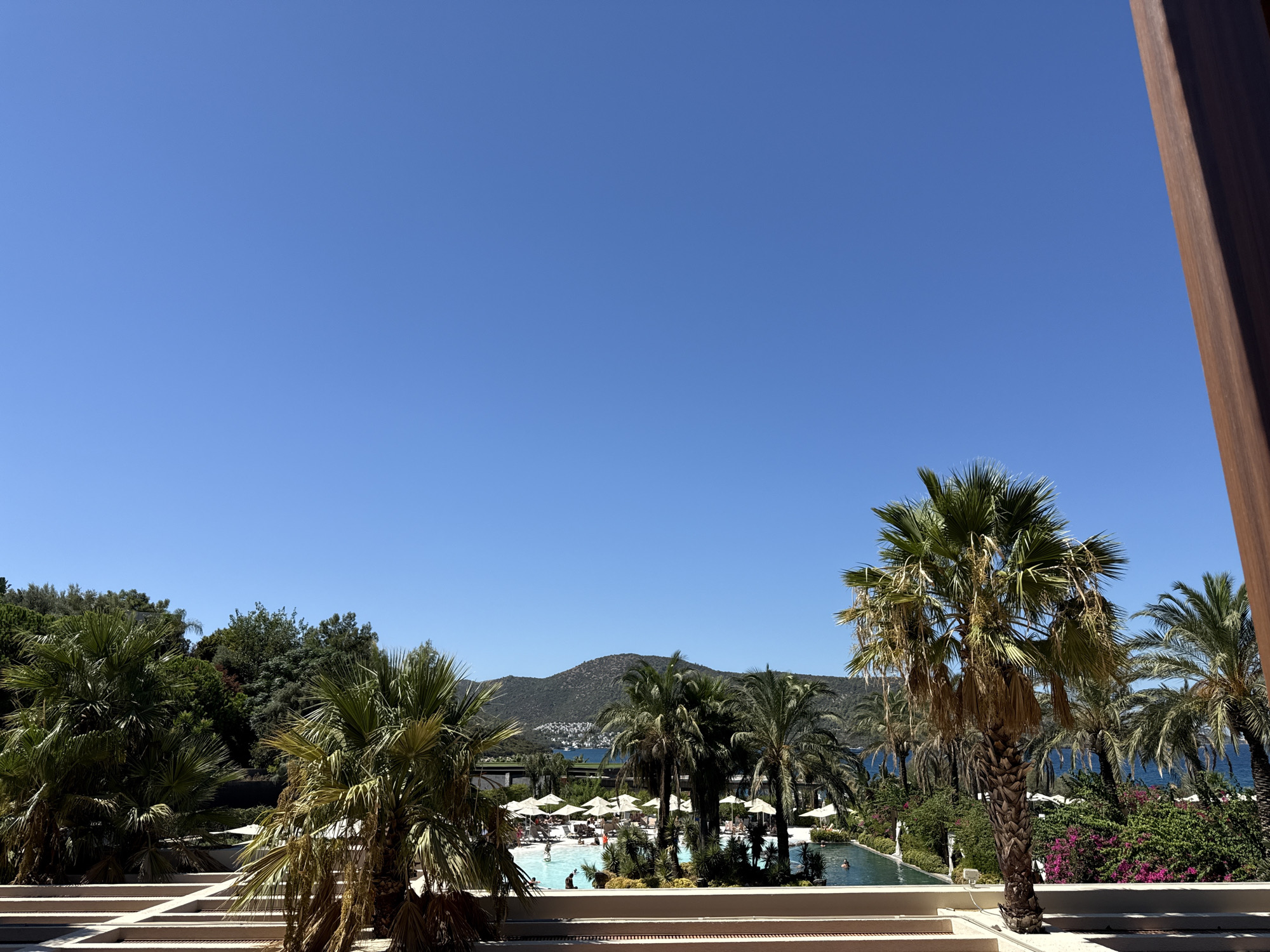 This image captures a bright, sunny day in Bodrum, Turkey, overlooking a resort area. The foreground features a multi-level, light-colored outdoor structure with descending steps, partially framed by a dark wooden pillar on the right. Beyond this structure, a lush landscape unfolds, dominated by numerous palm trees of varying sizes and a dense arrangement of other green foliage.
In the mid-ground, a large, inviting swimming pool is visible, populated by several people swimming and relaxing. Numerous white umbrellas are strategically placed around the pool area, providing shade for lounge chairs. The pool extends towards a body of water, likely the Aegean Sea, which appears calm and blue in the distance.
Further in the background, rolling, green hills rise, dotted with buildings that suggest a settlement or town. The sky above is a clear, vibrant blue, indicative of fair weather. The overall scene conveys a sense of a tropical vacation destination, with elements of leisure and natural beauty.
