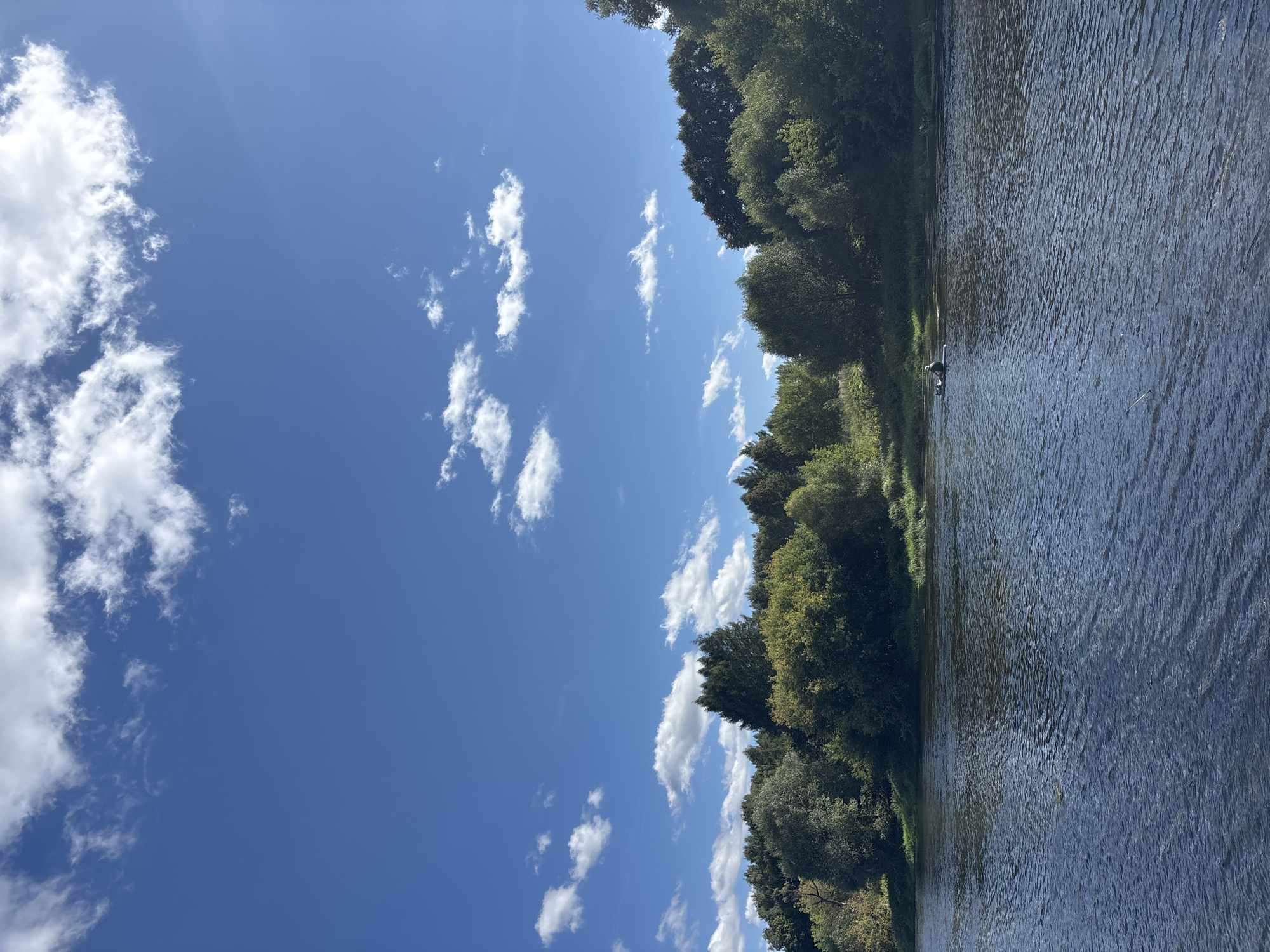 A wide, dark blue river occupies the foreground of the image. The water's surface is rippled, reflecting the bright sky. In the middle ground, a person sits on a board in the river, appearing to be paddleboarding or fishing. The opposite bank of the river is lined with dense, green trees and vegetation, forming a natural barrier. Above the trees, a vibrant blue sky is dotted with fluffy white clouds. The scene is bathed in natural sunlight, indicating a clear day. The image likely depicts a natural setting near Zvenigorod, Russia, given the characteristic landscape of the Moscow Oblast region.