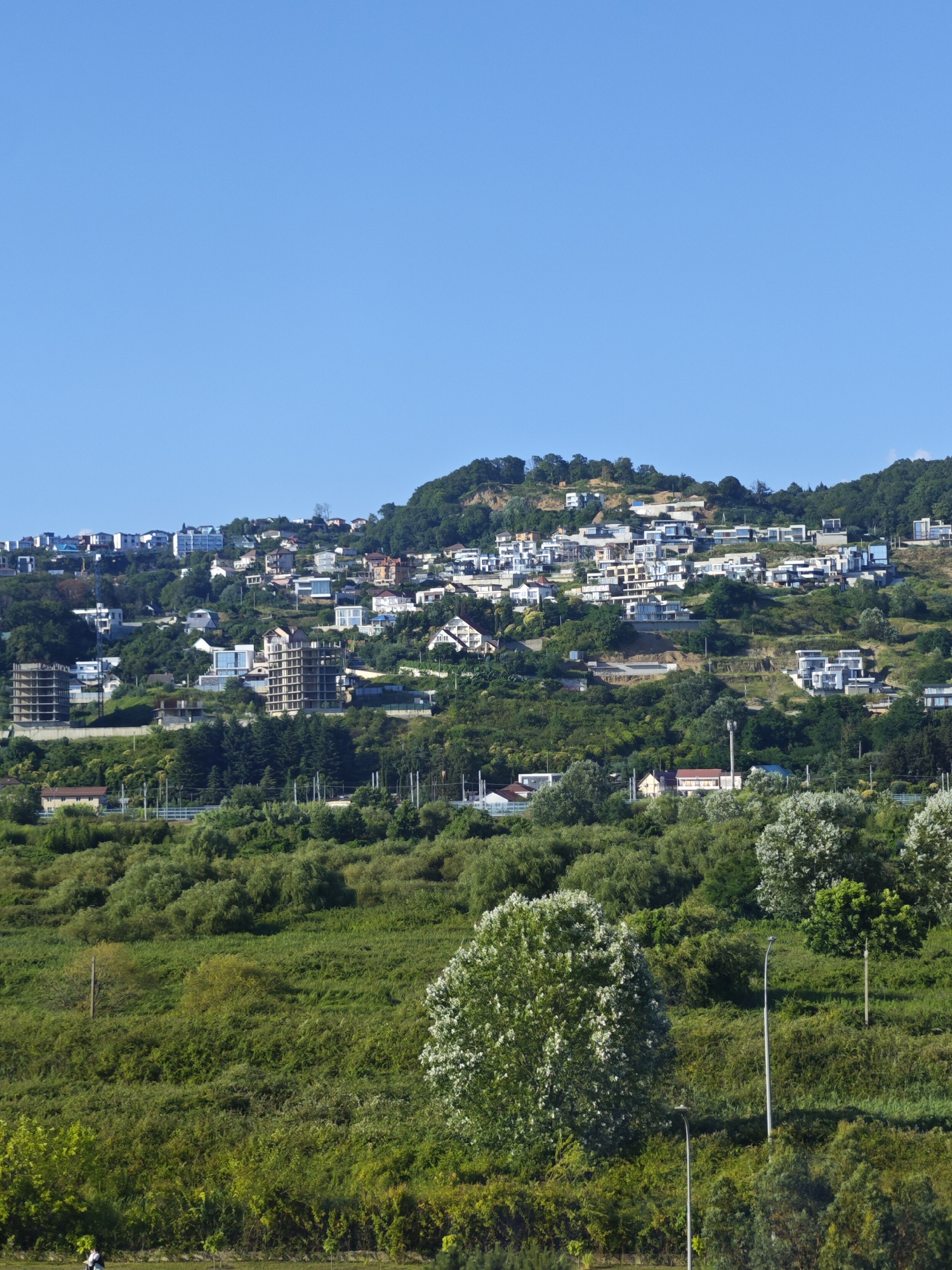 The image shows a densely wooded hillside in Sirius, Russia, dotted with numerous residential buildings of varying sizes and architectural styles. The houses are predominantly modern, with white and light-colored facades, and many feature large windows and balconies, suggesting they are apartments or multi-story homes. Some construction sites are visible, with unfinished buildings indicating ongoing development. The hillside is covered in lush green trees and vegetation, interspersed with winding roads and pathways. The sky is clear and blue, indicating fair weather. In the foreground, there is a green field with a few trees and streetlights, and two people are walking in the distance.