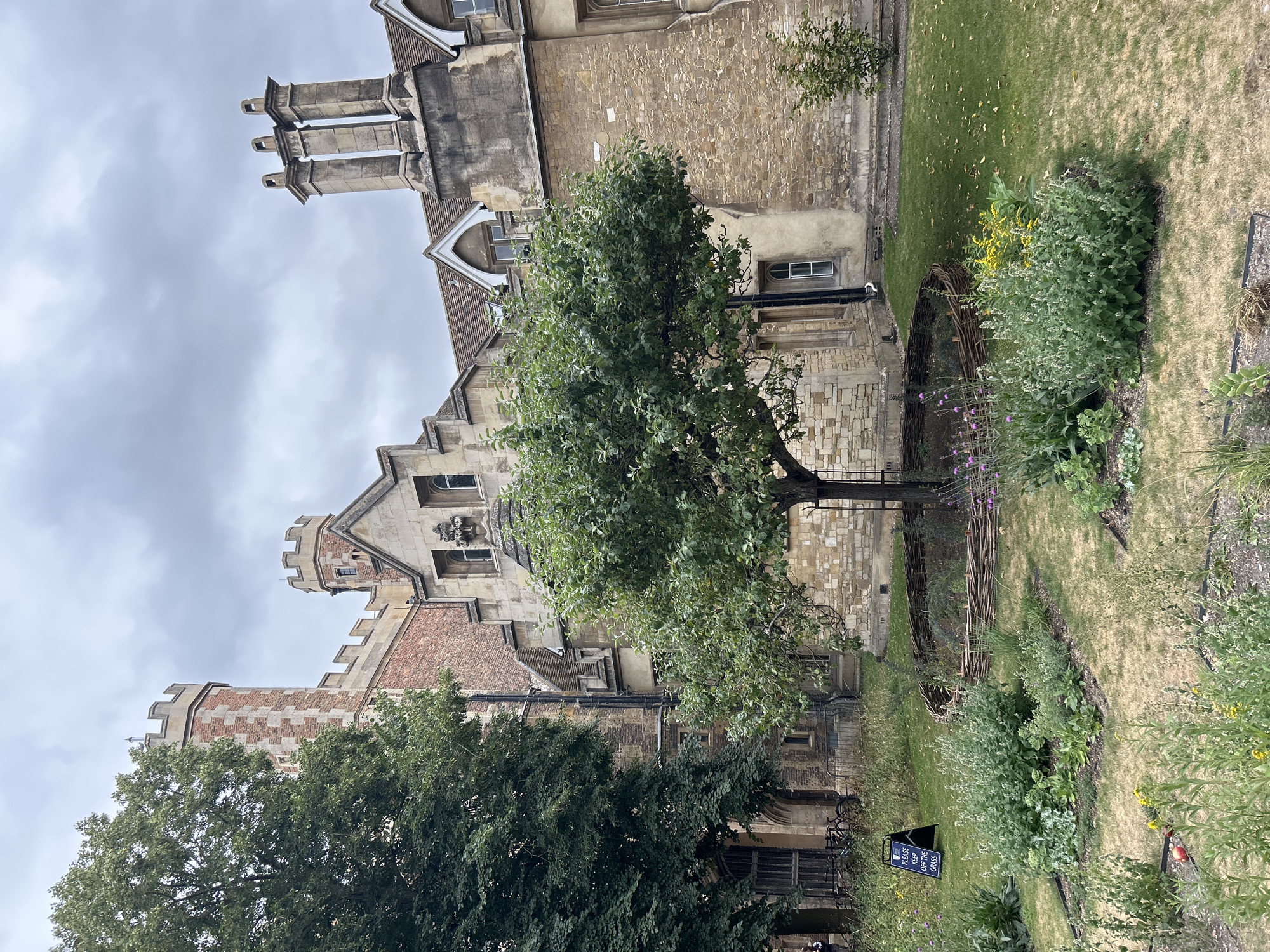 The image shows a garden area in front of a stone building with a red brick tower in Cambridge, United Kingdom. The building features Gothic-style architecture with arched windows and crenellated battlements on the tower. In the foreground, there is a circular garden bed with a low, woven wooden border, containing a variety of plants including a prominent tree with green foliage in the center. Several smaller bushes and flowering plants are visible around the central tree. A dark sign with white text, reading "PLEASE KEEP OFF THE GRASS", is positioned to the left of the garden. The ground is covered with grass and some dry, brown patches. In the background, bicycles are leaning against a structure, and the building's facade is visible, characterized by its stonework and windows. The sky is overcast with grey clouds.