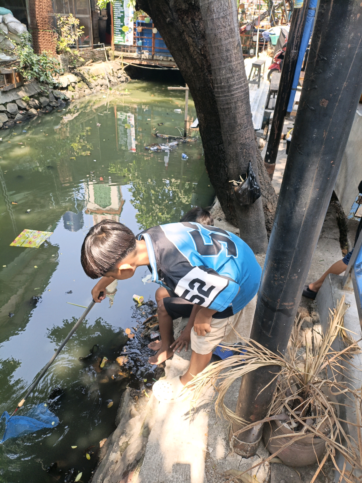 In West Jakarta, Indonesia, a young boy with short, dark hair wearing a blue and black shirt with the number "55" on it and light-colored shorts is seen using a long pole with a blue net attached to it. He is reaching into a murky, greenish body of water, likely a canal or drainage ditch, which is filled with debris and trash. The boy is positioned on a concrete embankment next to the water. The surrounding environment shows signs of urban life, with trees, buildings, and other structures visible in the background. There is also a large black pipe and a dead plant in a pot in the foreground. The water reflects the sunlight and the surrounding buildings.