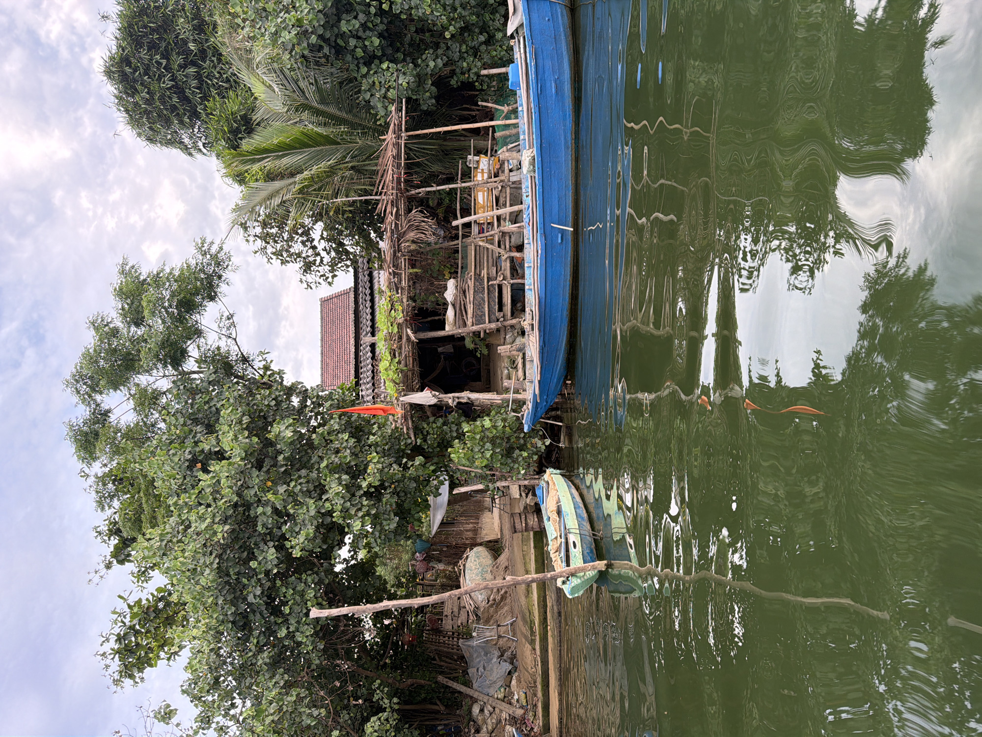 This image depicts a tranquil waterside scene, likely a river or canal, in Đà Nẵng, Vietnam. The scene is dominated by a dense arrangement of tropical greenery and rustic structures on the bank, juxtaposed with boats on the water.
On the left side of the frame, a lush, verdant bank rises from the water, covered with various trees including large-leaved trees and palm fronds. Nestled among this foliage is a simple, possibly wooden, house or shack featuring a distinct red-tiled roof. Adjacent to the dwelling, a makeshift scaffolding or wooden structure is visible, suggesting an area for storage or work. An orange flag or piece of fabric is noticeable near the house.
In the water, which appears a murky green due to reflections and possibly algae, two boats are moored. The most prominent is a large, blue wooden boat positioned closer to the bank. Further out, a smaller, lighter-colored boat (possibly a coracle or small fishing vessel) is also visible. A long wooden pole extends from the bank, reaching towards the boats. The water's surface is rippled, distorting the reflections of the sky, trees, and structures on the bank, creating an impressionistic effect.
The sky, visible in the upper part of the image, is bright with scattered white clouds, indicating daytime, likely late morning or early afternoon. The overall atmosphere is one of quiet daily life in a tropical, rural, or semi-rural riverside community. There are no people visible, and no specific activity is taking place at the moment of the capture. No visible text is present in the image.