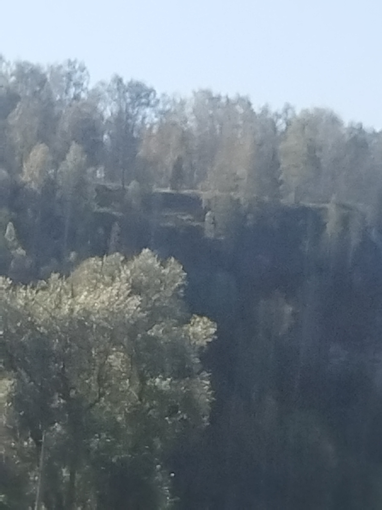 A blurred, low-resolution image depicts a hillside covered in trees. The sky is light and overcast. In the foreground, a dense cluster of light-colored foliage, likely from a deciduous tree, dominates the lower left portion of the frame. The middle ground shows a dark, wooded slope with indistinct shapes that could be smaller trees or undergrowth. The background consists of a more distant treeline, appearing as a soft, hazy mass of muted colors. Some lighter patches within the background treeline might indicate buildings or clearings, but these are not clearly discernible. The overall impression is of a natural, undeveloped landscape. There are no visible people or man-made structures that can be identified with certainty. The image quality is too poor to provide specific details about the types of trees or the exact topography. No information about the city of Ust'-Katav, Russia, can be inferred from this image.