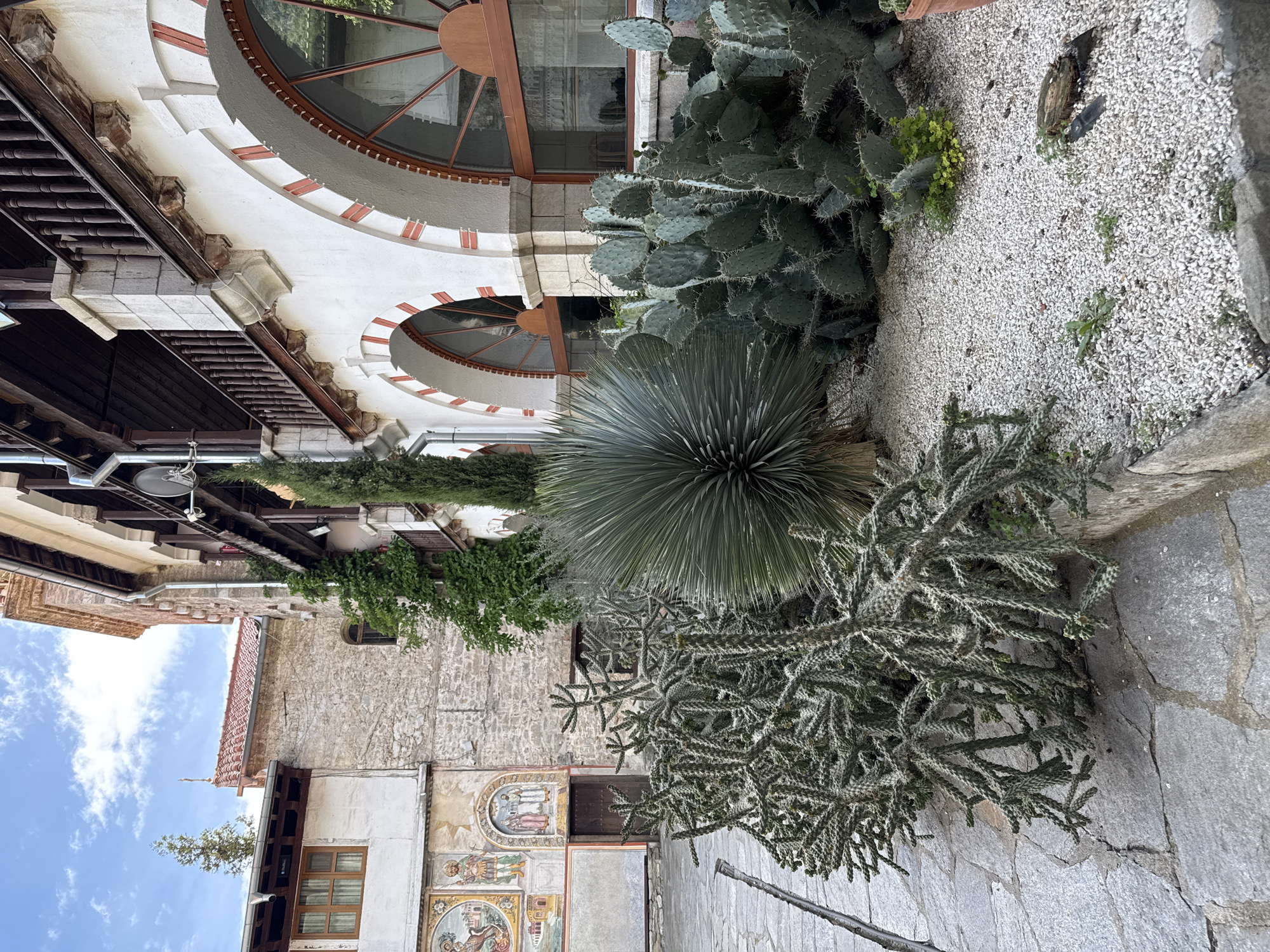 This outdoor shot shows a courtyard view in Bachkovo, Bulgaria. A mix of cacti and succulent plants, including a large, round spiky bush and a prickly pear cactus, fill a gravel area. Architectural details include arched windows with red and white detailing on a light-colored building, along with aged stone and wooden facades on adjacent buildings. Murals adorn a section of wall near a wooden door. The sky is visible above, showing a clear, bright blue with a few clouds. The courtyard is paved with uneven stone slabs.