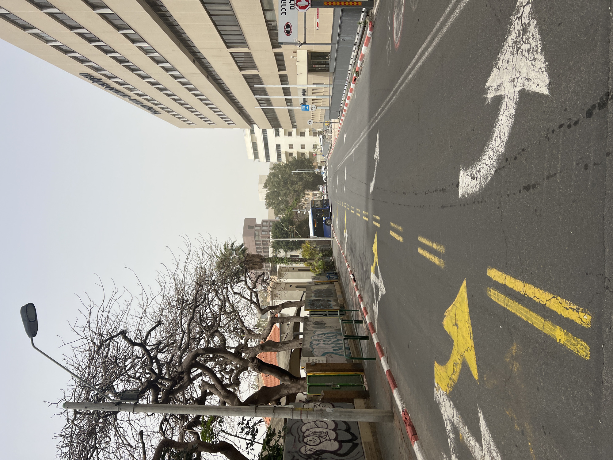 The image depicts an urban street scene in Tel Aviv, Israel. The street, covered in asphalt, is marked with double yellow lines, white directional arrows and a red and white curb line. A leafless tree stands on the left side of the frame. The background features a tall, beige building with repetitive window patterns, several smaller buildings, trees, and vehicles. The sky is overcast, creating a hazy atmosphere.