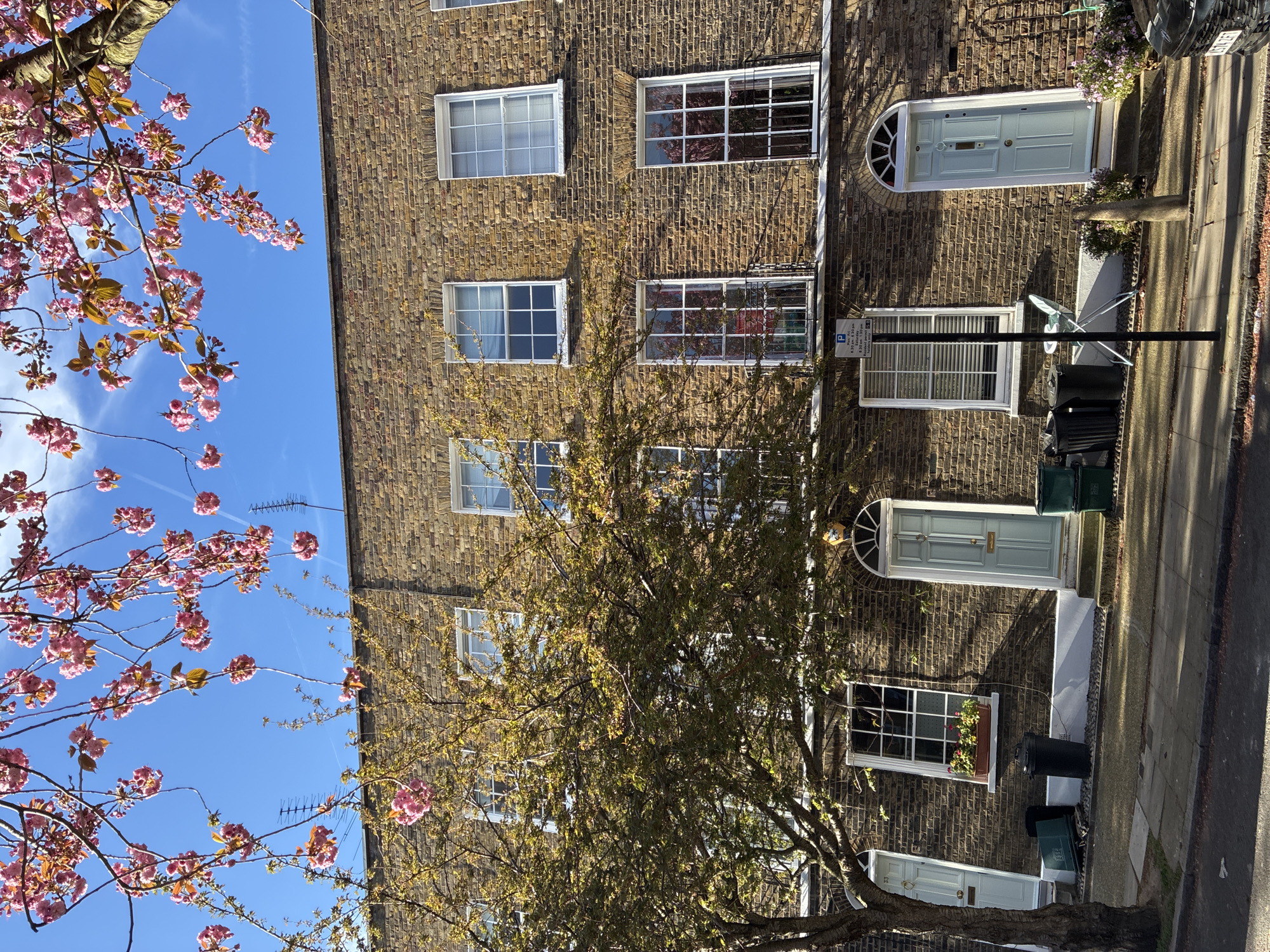 The image depicts a row of terraced houses in London, United Kingdom. The buildings are constructed from brown brick and have white-framed windows, some of which feature multiple panes. Several houses have pale blue doors, with one door topped by a semi-circular window. A green trash bin and a parking sign are visible next to a doorway. Trees, one with pink blossoms, frame the buildings. The sky is blue.