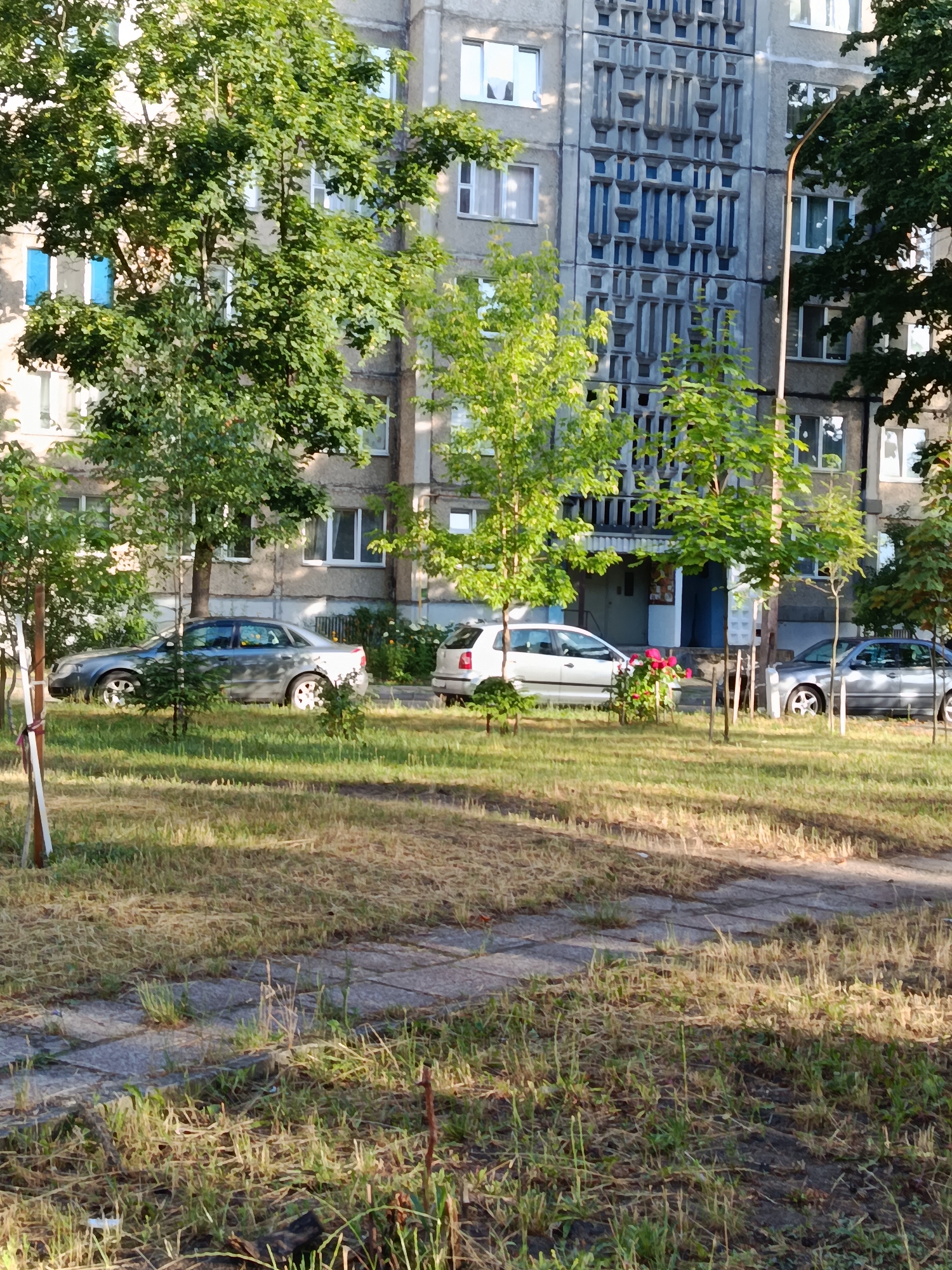 The image depicts a side view of an apartment building in Svietlahorsk, Belarus. The building's facade is a muted gray with a decorative, recessed panel design on the upper floors. Windows, some with blue panes, are visible on the building's exterior. In front of the building, a patch of dry, yellowed grass is interspersed with small, green plants. A paved walkway runs through the grassy area. Two cars are parked in front of the building: a silver sedan on the left and a white hatchback on the right, positioned behind a small bush with red flowers. Young trees with green leaves are planted in front of the cars and along the sidewalk. The scene is illuminated by bright sunlight, casting shadows across the grass.