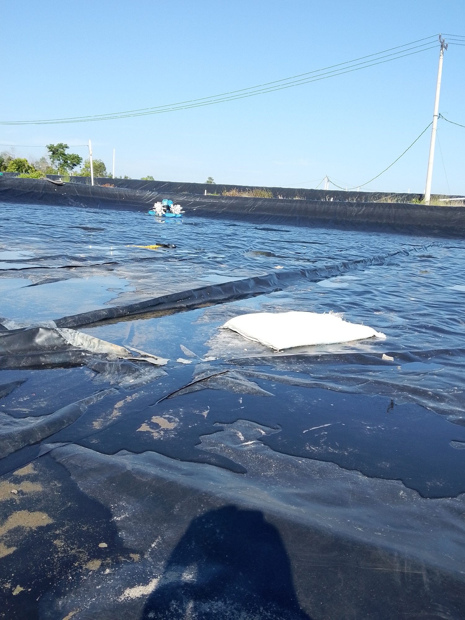 The image depicts a large, rectangular pond or reservoir in Bukit Ketok, Indonesia, lined with a black plastic liner. The liner is partially filled with water, which has a dark, reflective surface. A white object, possibly a bag or cushion, floats on the surface of the water. In the background, a blue aerator is visible in the water. The pond's edge is lined with a dark material, likely the same black plastic liner. Beyond the pond's edge, vegetation and utility poles are visible against a clear, blue sky. A dark shadow of the person taking the image is also visible.