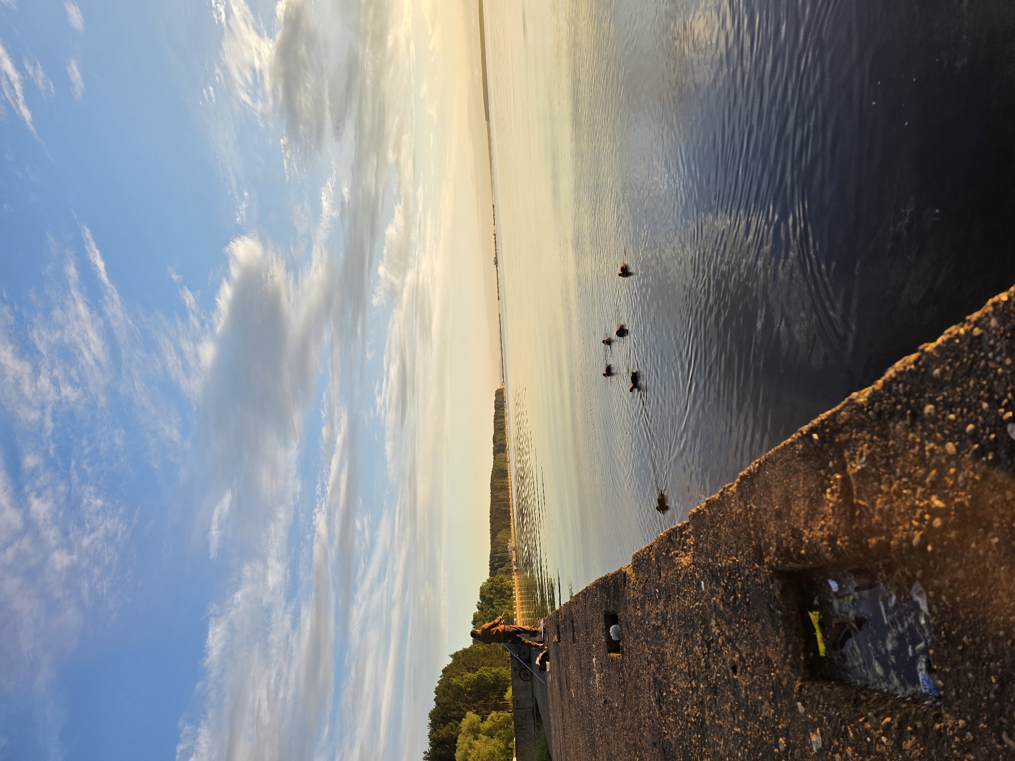 This is a vertical, eye-level, wide shot of a water body with a concrete embankment in the foreground. The sky, filled with wispy clouds, is a blend of pale blue and golden hues, suggesting either sunrise or sunset. The water's surface is rippled, reflecting the sky and creating a shimmering effect. A line of trees borders the far side of the water, and beyond that, the horizon is faint. Several ducks are swimming in a loose formation on the water.
On the concrete embankment, a lone person is seated, facing away from the camera and towards the water, appearing to be fishing with a rod. The embankment itself is rough and textured, with a small rectangular opening or cavity visible on its surface, containing some debris. The overall mood is serene and tranquil, possibly conveying a sense of quiet contemplation or enjoyment of nature.
The scene's lighting suggests it's either early morning or late evening. The presence of a lake or large river is implied by the expanse of water. Without further context, it is difficult to pinpoint an exact location beyond what is visually present. There is no visible text in the image.
