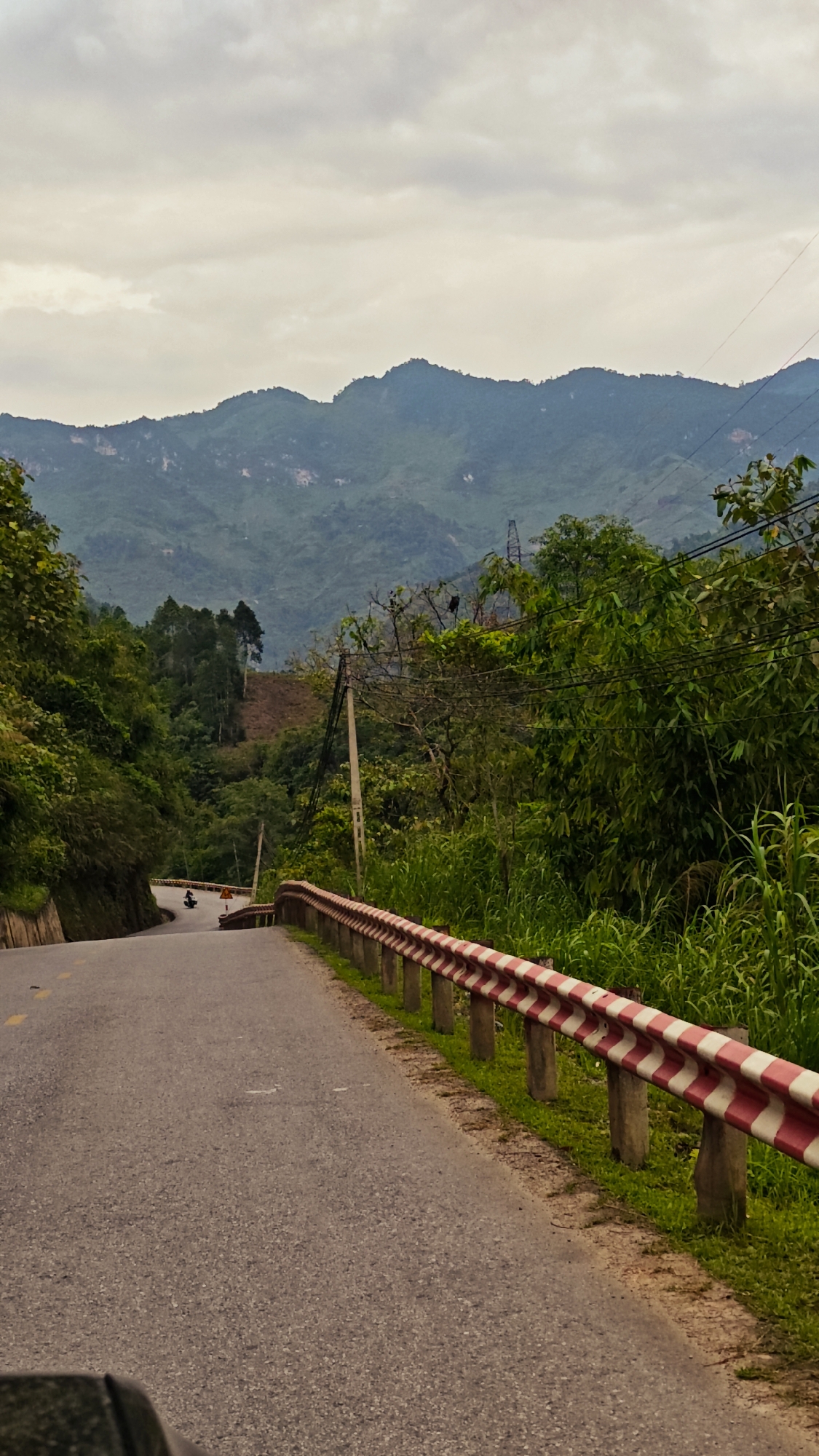 The image shows a road in Minh Tân Commune, Vietnam. The road curves to the left and leads downhill. On the right side of the road is a guardrail with alternating red and white stripes. Lush green vegetation grows on either side of the road, with taller trees and shrubs forming a dense backdrop. In the distance, rolling hills and mountains are visible under a cloudy sky. A utility pole stands along the roadside, with power lines stretching across the scene. A vehicle, possibly a motorcycle, is seen farther down the road.