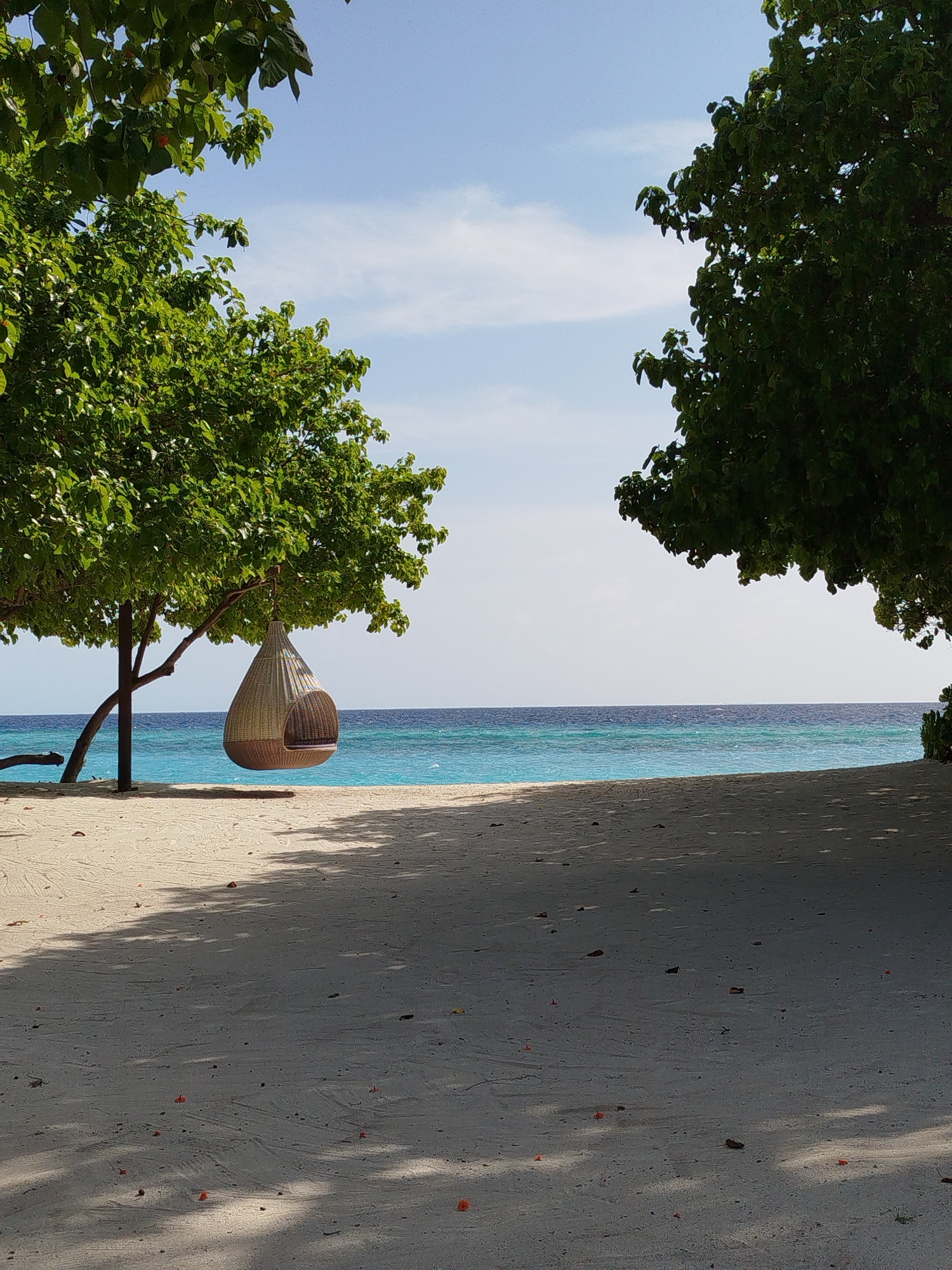 The image depicts a tranquil beach scene in Kendhoo, Maldives. In the foreground, a sandy beach stretches towards the ocean, with dappled shade from overhead trees creating a patterned effect on the sand. A unique, egg-shaped woven swing chair hangs from the branch of a lush green tree on the left side of the frame. The ocean beyond is a vibrant turquoise, transitioning to a deeper blue in the distance under a clear sky with scattered white clouds. Another large, leafy tree is visible on the right, framing the view of the sea. The scene is serene and appears unoccupied.