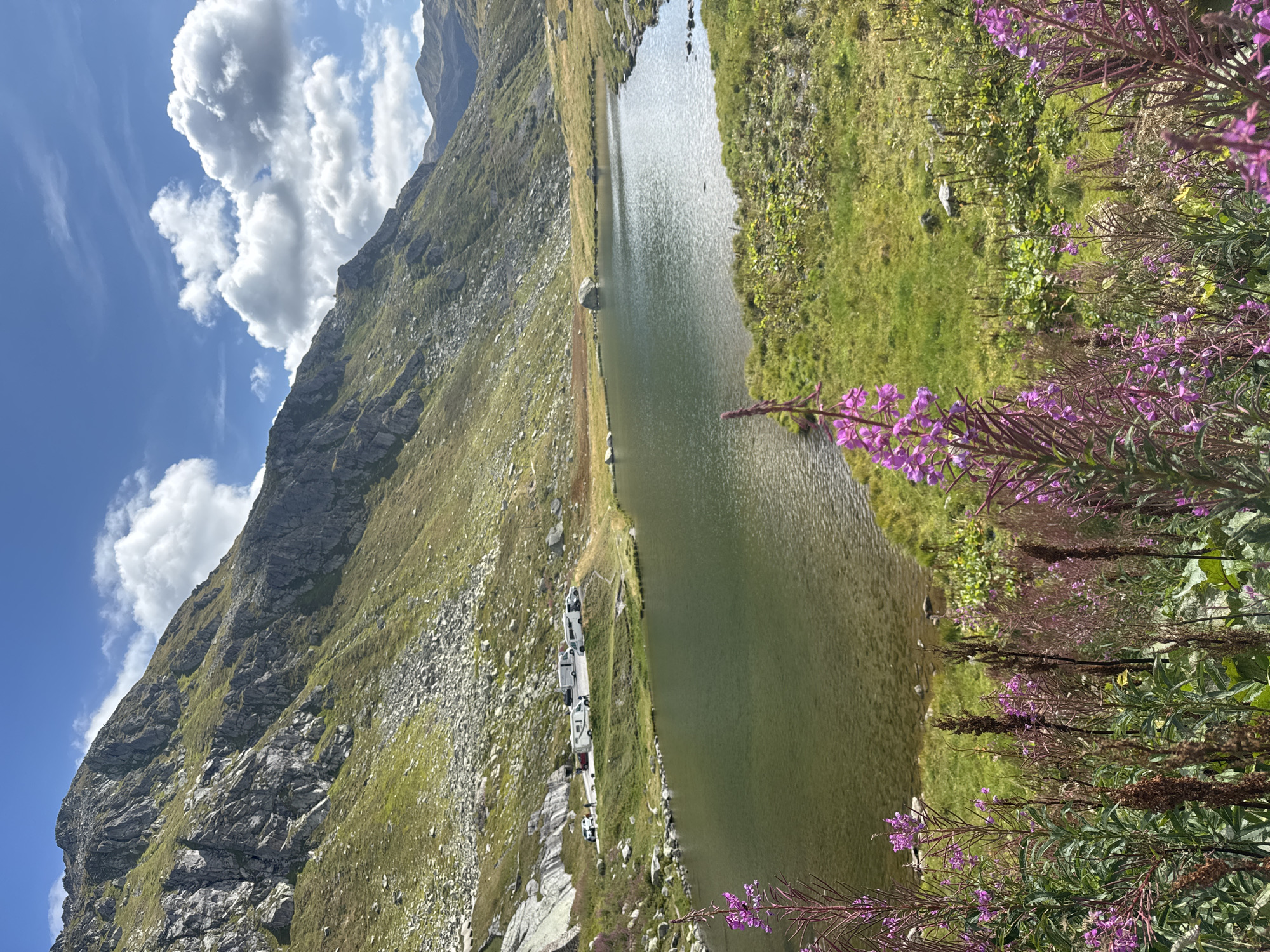 This is a high-angle, eye-level, full shot of a lake nestled in a mountainous region under a partly cloudy blue sky. The foreground features a profusion of tall, slender purple flowers and some dried seed heads, partially obscuring the view of the lake's edge. The lake itself is calm with a greenish-brown hue and reflects the sky. The middle ground shows the lake's shore transitioning into a grassy bank dotted with rocks. On the far bank, a small, light-colored structure, possibly a shed or a small building, is visible. Beyond the lake, a steep, rocky mountain slope covered in sparse green vegetation rises dramatically. The mountain's peak is partly obscured by clouds. In the upper left portion of the image, a line of several white camper vans or recreational vehicles is parked on a dirt area near the base of the mountain, indicating a possible parking or camping area. The overall environment suggests a remote, natural setting. The image appears to have been taken in Airolo, Switzerland, given the characteristic alpine landscape.