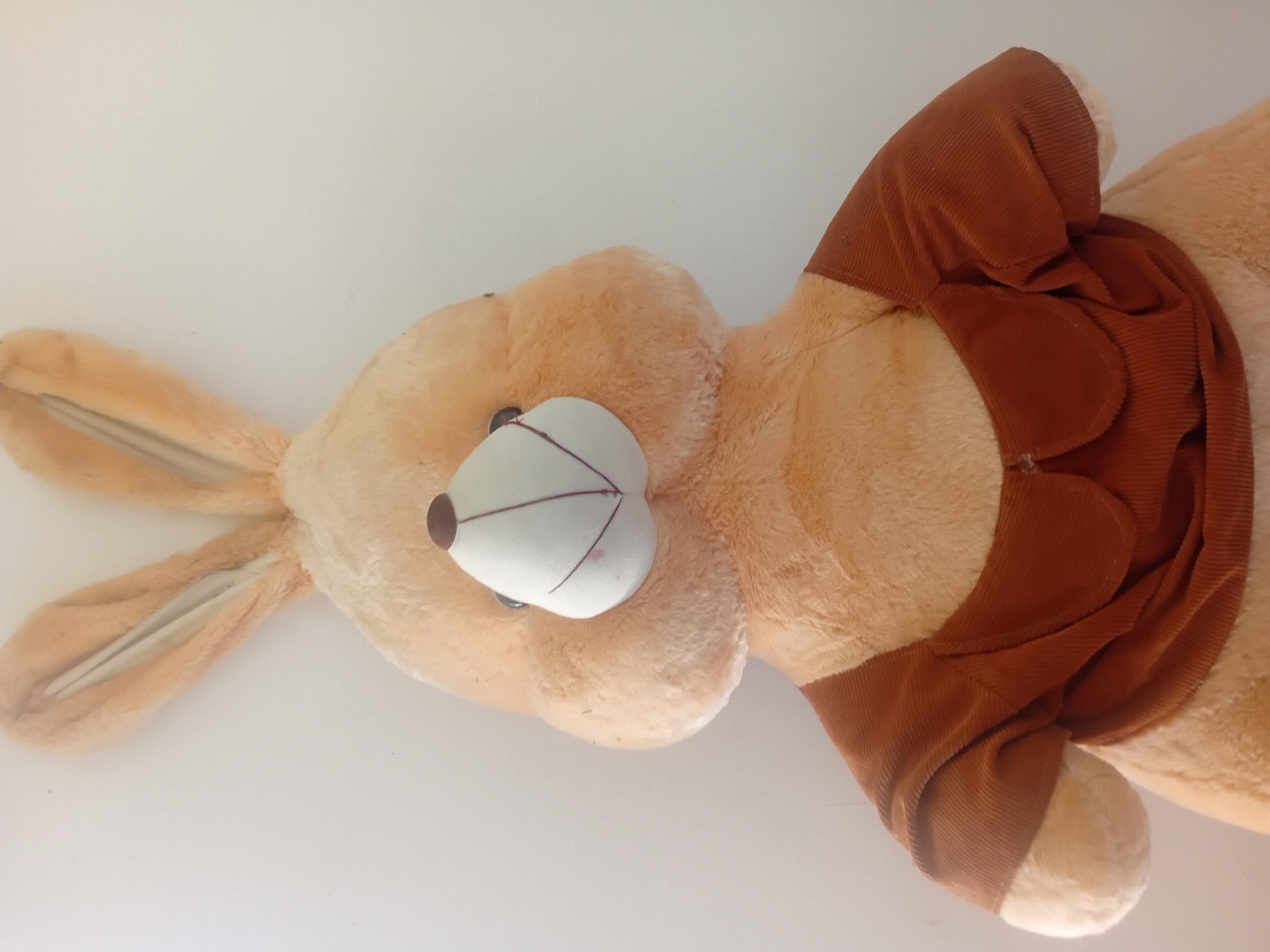 A close-up, eye-level, medium shot shows a stuffed bunny toy, facing forward against a plain white background. The bunny is light brown with long ears and a lighter colored snout with stitched details and a dark brown nose. It is wearing a brown corduroy shirt with a Peter Pan collar and ruffled sleeves. The toy is positioned centrally in the frame, with its ears extending towards the top edges and its body occupying the lower portion. The lighting is even, casting no harsh shadows. The location is not visible in the image.