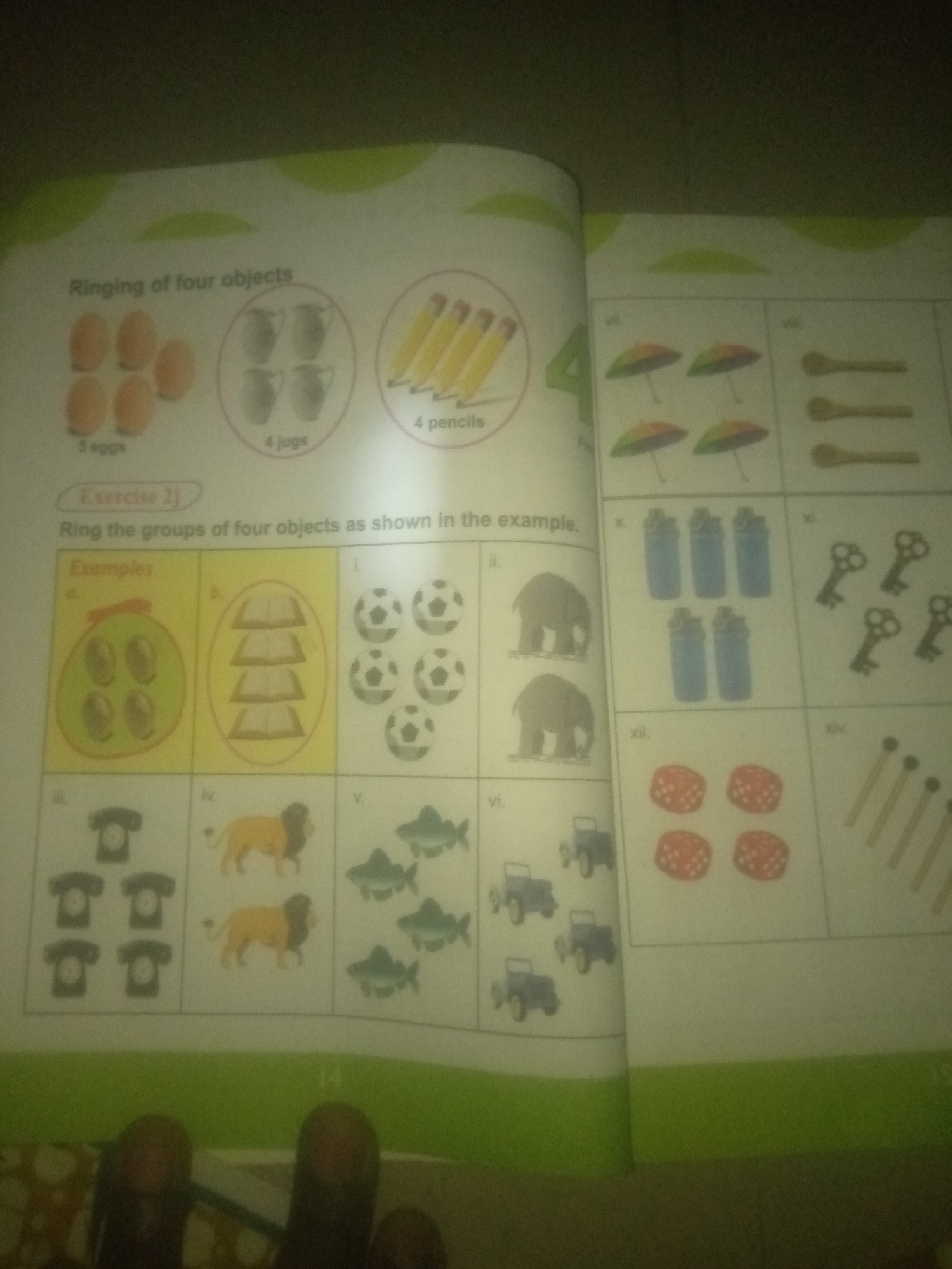The image shows a page from a workbook or educational material, likely for young children, with various exercises related to counting and grouping objects. The dominant colors are green and white, with printed text and illustrations.
On the left page, there are examples of objects grouped by quantity: 5 eggs, 4 jugs, and 4 pencils. Below this, under the heading "Exercise 2J," there is an instruction to "Ring the groups of four objects as shown in the example." This section features several subsections labeled 'a' through 'v'. Subsections 'a' and 'b' are labeled "Examples" and show a group of 4 coins and 4 books, respectively. Following these examples are several other subsections (i through v) with illustrations of objects: soccer balls, elephants, telephones, lions, and fish.
The right page features further subsections, labeled vi through xiv, also illustrating groups of objects. These include umbrellas, spoons, water bottles, keys, dice, and matchsticks. Some of these illustrations are presented as groups that might be selected for the exercise, while others appear to be part of the continuation of the exercise.
The image is taken from an angle, and the bottom edge shows parts of two hands, likely belonging to the person holding the book or page. The overall setting appears to be indoors, possibly in a classroom or home environment.
There is no information within the image or its context that would allow for a description of its location in the city of Jauro Yinu, Nigeria.