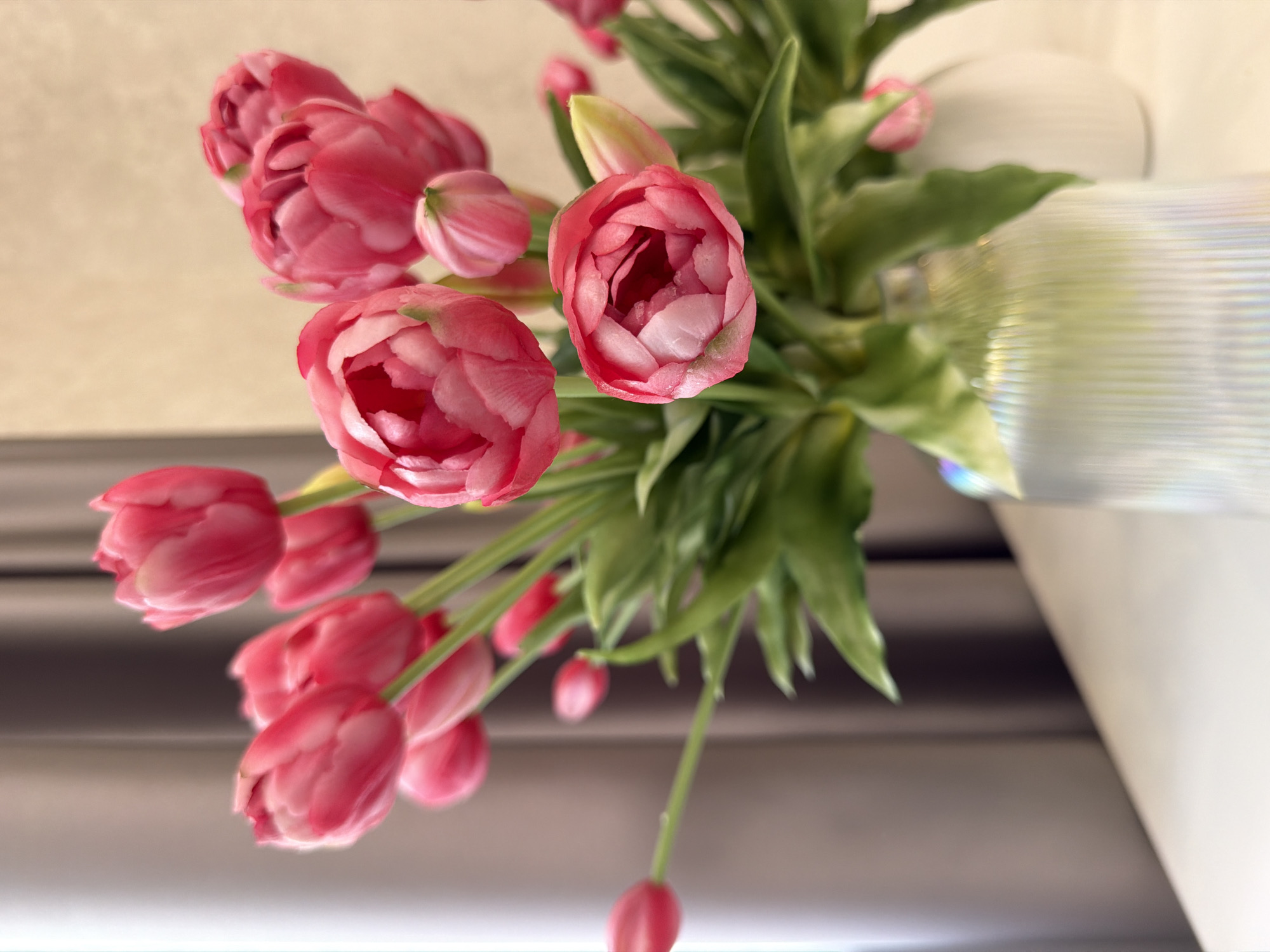 A close-up, overhead shot captures a bouquet of vibrant pink tulips. The tulips, with their ruffled petals, are the primary subjects, displayed in a vase that is partially visible on the right side of the frame. The vase appears to be white and has a textured or iridescent surface. The tulips are arranged in a way that their blooms are facing upwards and outwards, with some still in bud form and others fully open. Green tulip leaves and stems are interspersed among the flowers, adding depth to the composition.
The background is softly blurred, suggesting an indoor setting. The upper portion of the background features a textured, light-colored wall, possibly wallpaper. The lower portion of the background shows horizontal lines, which could be indicative of blinds or a similar window covering, and a darker, blurred surface. The lighting is soft and diffused, creating a gentle illumination that highlights the delicate textures of the tulip petals. There is no text visible in the image. The overall mood is serene and natural, focusing on the beauty and freshness of the flowers.
