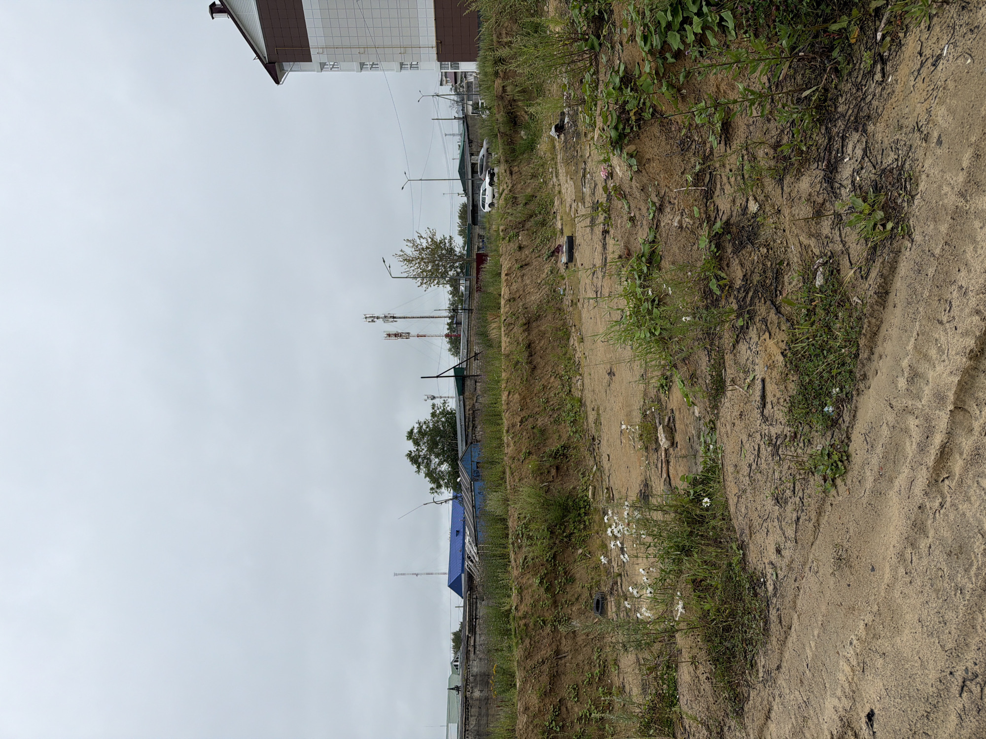 The image depicts an overcast outdoor scene in Okha, Russia, focusing on a disturbed, sandy area in the foreground with sparse vegetation. The terrain is uneven, with tire tracks visible in the sand. Small white wildflowers are scattered amongst green plants. In the middle ground, a raised earthen berm is covered in grass and weeds. Beyond the berm, a low concrete wall separates the foreground from a collection of buildings, including a blue-roofed structure and a smaller blue shed. Several telecommunication towers rise in the distance. A multi-story building with a brown and white facade is visible on the right edge of the frame. A white car and a darker vehicle are parked on a paved road behind the wall. The sky is uniformly gray and cloudy.