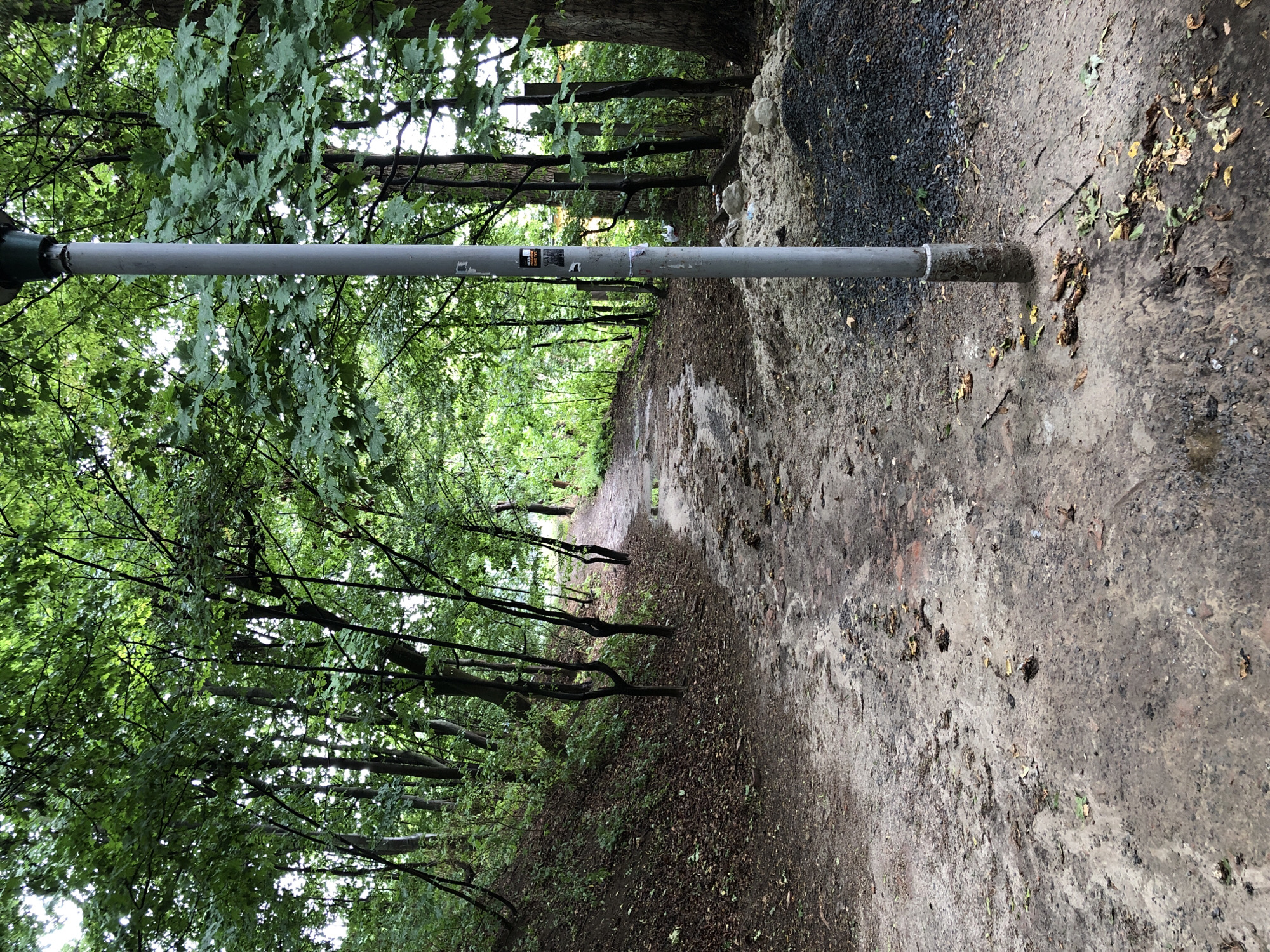 The image depicts a muddy, uneven dirt path winding through a densely wooded area, likely a park or forest. The path is marked by puddles and debris, suggesting recent rainfall or poor drainage. A tall, grey lamppost stands prominently on the right side of the path, with various stickers affixed to its surface. Surrounding the path are numerous trees with lush green foliage, indicating a temperate climate and the presence of vegetation. In the background, the path continues into the distance, partially obscured by the trees. The overall scene is naturalistic and somewhat unkempt, suggesting a relatively undeveloped or naturalistic setting within an urban environment. The location is identified as Lviv, Ukraine.