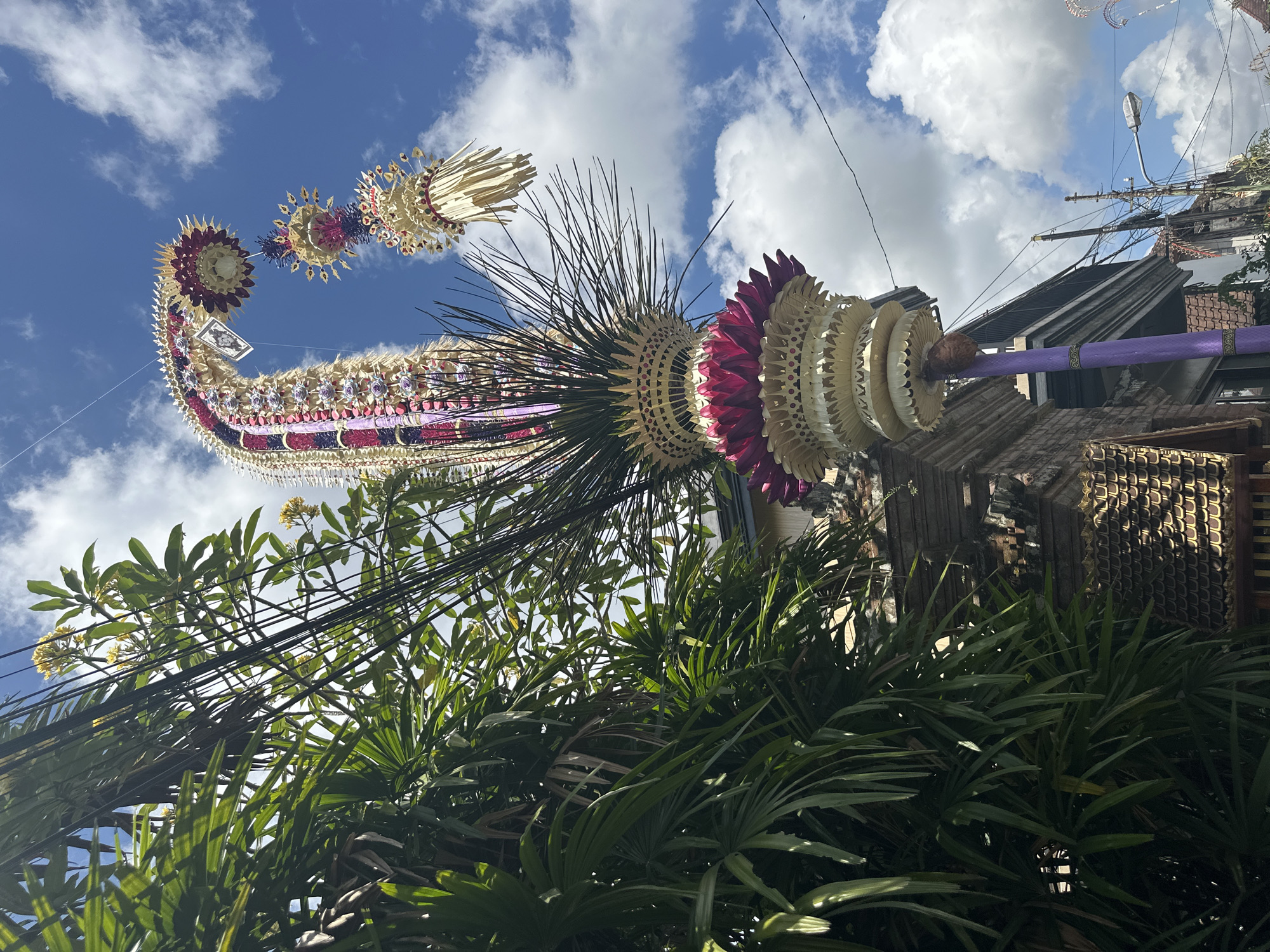 In the city of Ubud District, Indonesia, a tall, ornate decoration made of woven palm leaves, flowers, and colorful fabrics arches towards the sky. This decoration, likely a Penjor, is a traditional Balinese offering. It is adorned with layers of intricately folded palm leaves, creating a tiered effect, and interspersed with vibrant pink and purple flowers. Small, decorative elements, possibly made from woven straw, hang from the main structure.
The Penjor is positioned outdoors, with lush green foliage of palm trees and other plants framing the left side of the image. A tangle of black electrical wires crisscrosses the scene, suggesting an urban or semi-urban setting. In the background, parts of buildings with tiled roofs and ornate brickwork are visible, hinting at traditional Indonesian architecture. The sky above is a bright blue, dotted with fluffy white clouds, indicating a clear and sunny day. The overall scene captures a blend of natural beauty, intricate cultural artistry, and the everyday elements of a town. There are no people visible in the image.