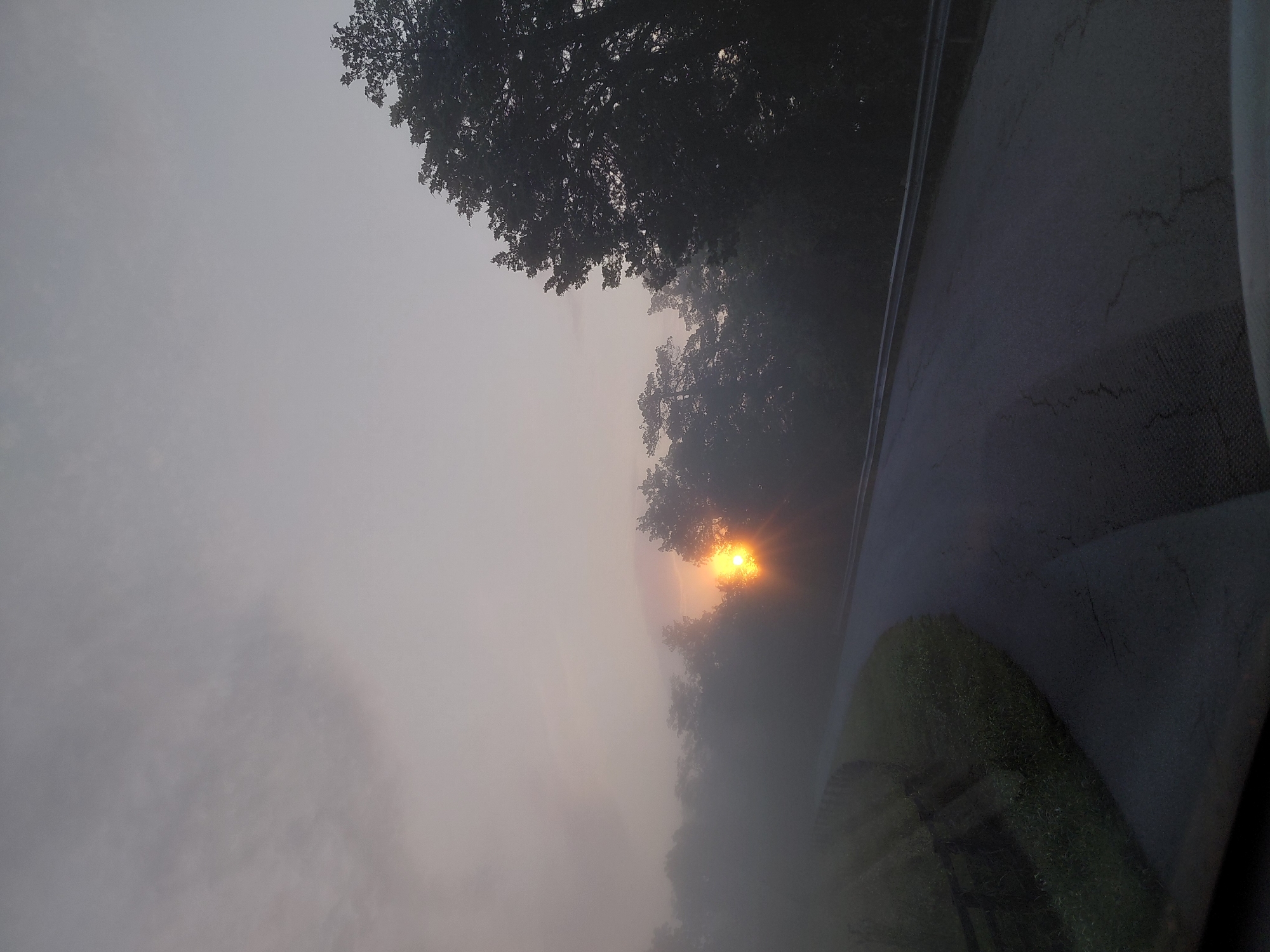 The image shows a road winding through a misty landscape at sunrise. The sun, a bright orange orb, is partially obscured by trees and fog, casting a warm glow on the scene. Tall, dark green trees line the right side of the road, their branches silhouetted against the hazy sky. On the left, a grassy embankment slopes downwards, with a rustic wooden fence visible. The road surface is asphalt, showing some cracks and wear. The sky is a soft, muted gray with hints of pink and orange from the rising sun. The overall impression is one of tranquility and natural beauty. The location is stated to be in Versailles, United States. There are no people or animals visible in the image.