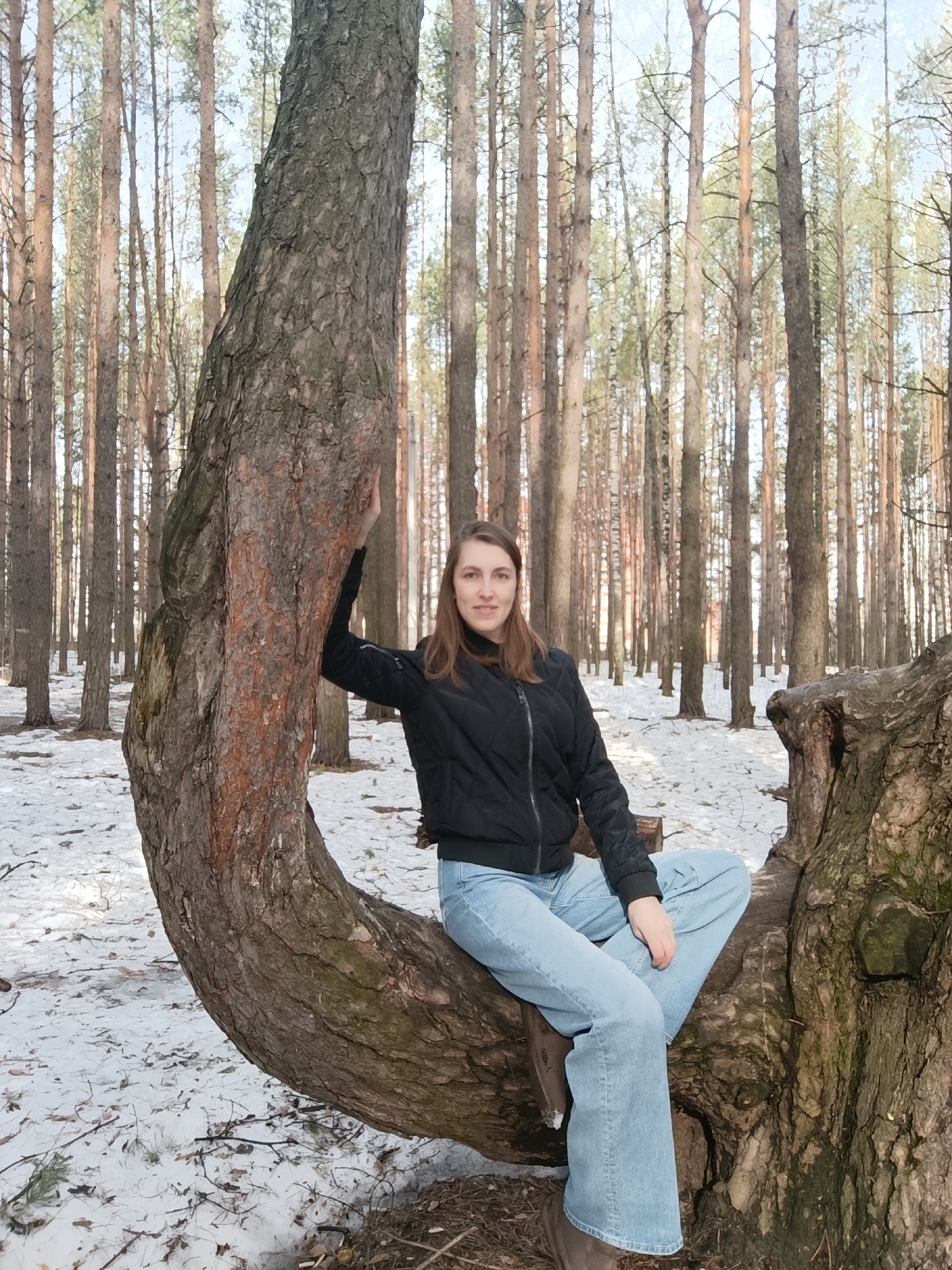 A woman is seated on a curved tree trunk in a forest. The woman has long brown hair, wears a black jacket, light blue jeans, and brown shoes. She rests her left hand on the tree trunk. The forest consists primarily of tall, thin trees with light-colored bark. There is snow on the ground.